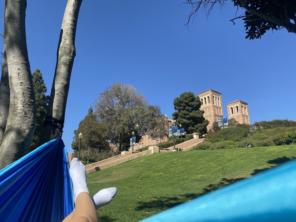 img 2806jpg by Ciara Murphy?width=698&height=466&fit=crop&auto=webp&dpr=4