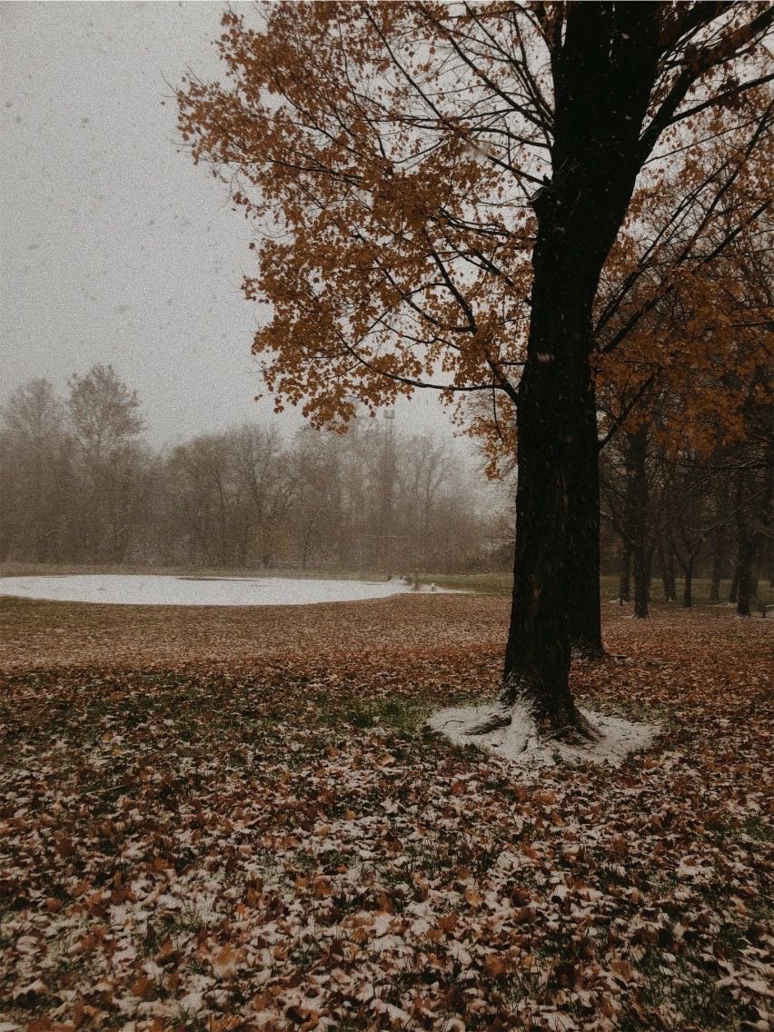 Original image of fall landscape