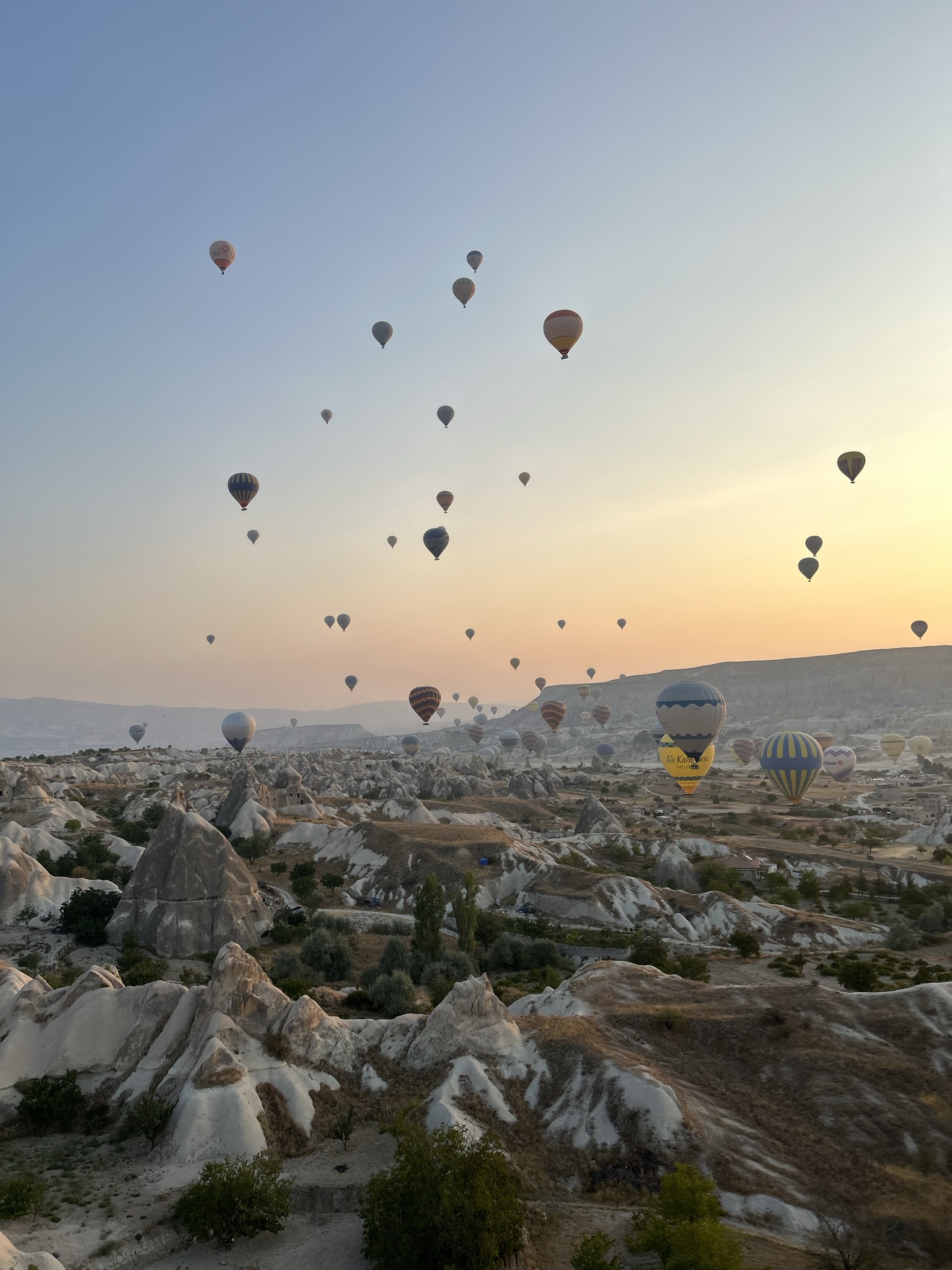 ecc01c9cb55e494b9ee9fc209959fc68jpegjpg by Prisha Dev?width=698&height=466&fit=crop&auto=webp&dpr=4