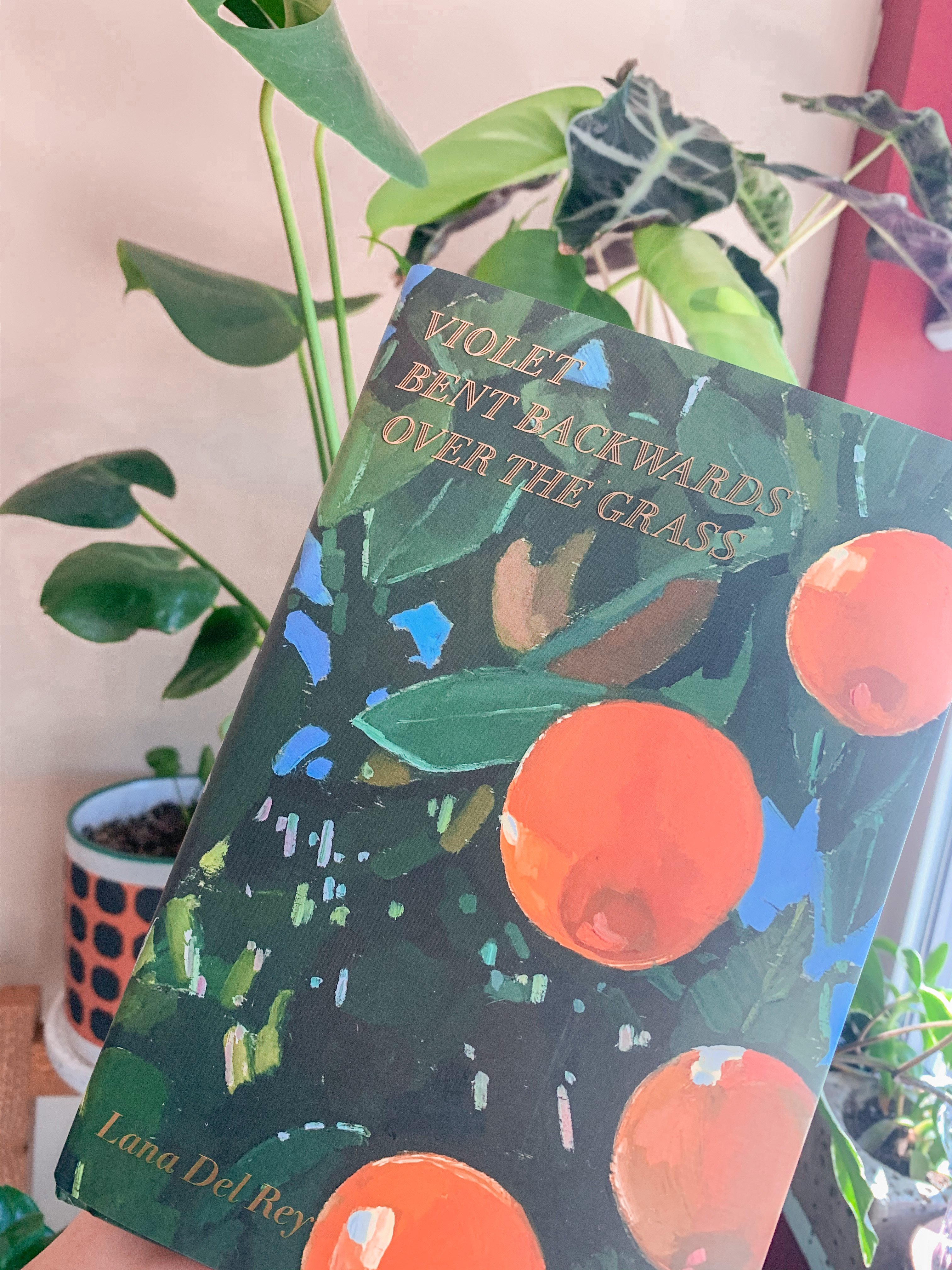 Lana Del Rey\'s Book