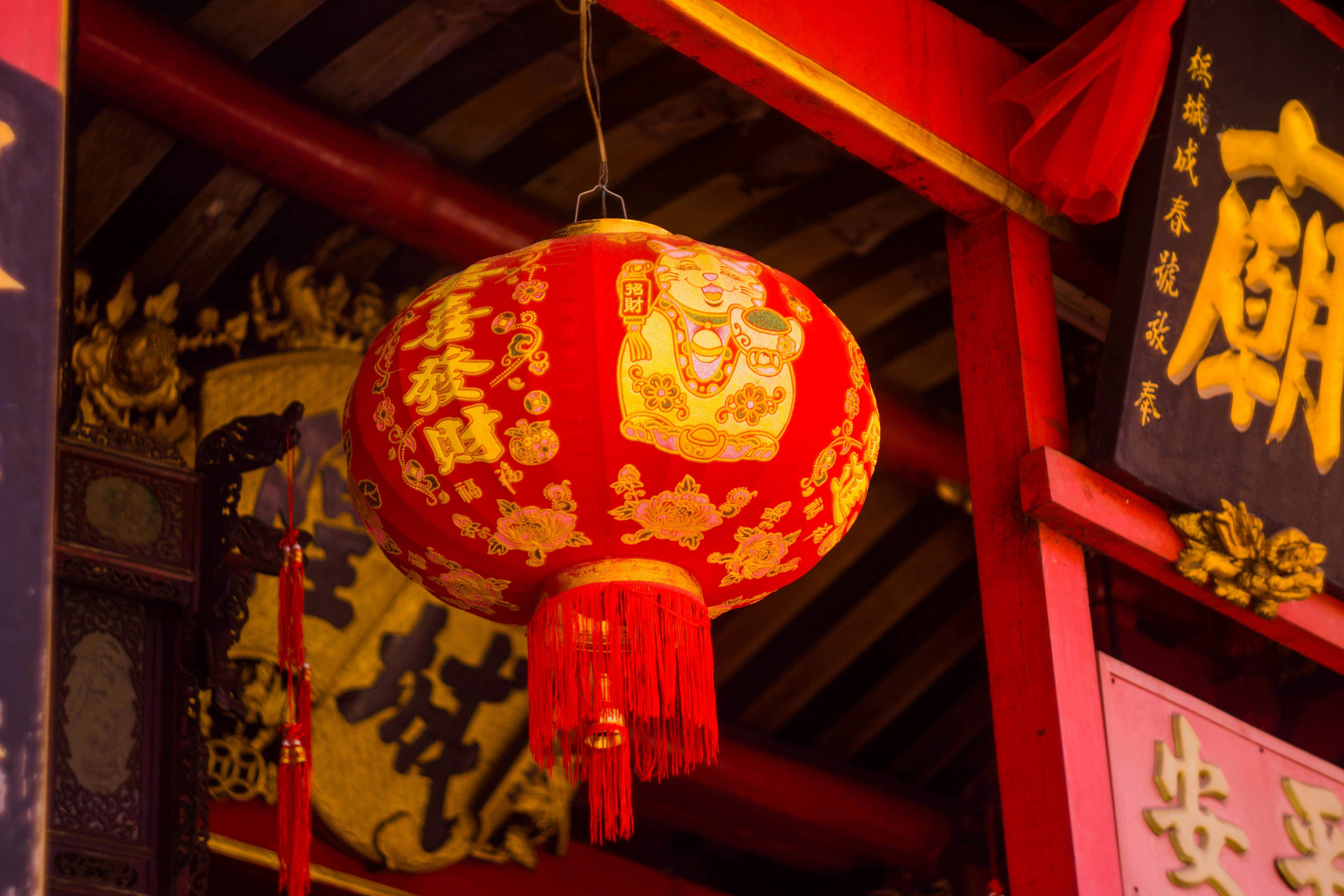 Chinese New Year Decorations