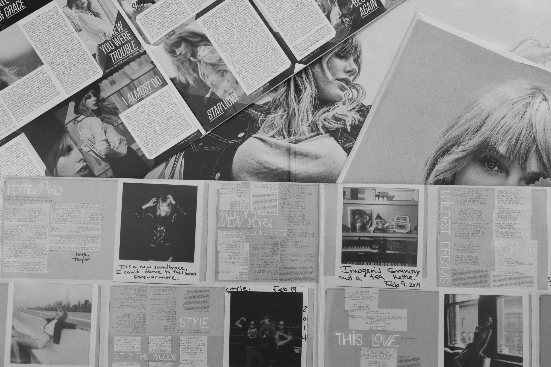 Taylor Swift Lover 1989 and Red by Taylor Gabrovic