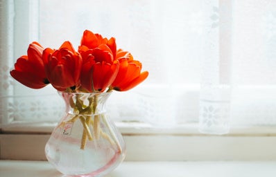 vase of red flowers by window