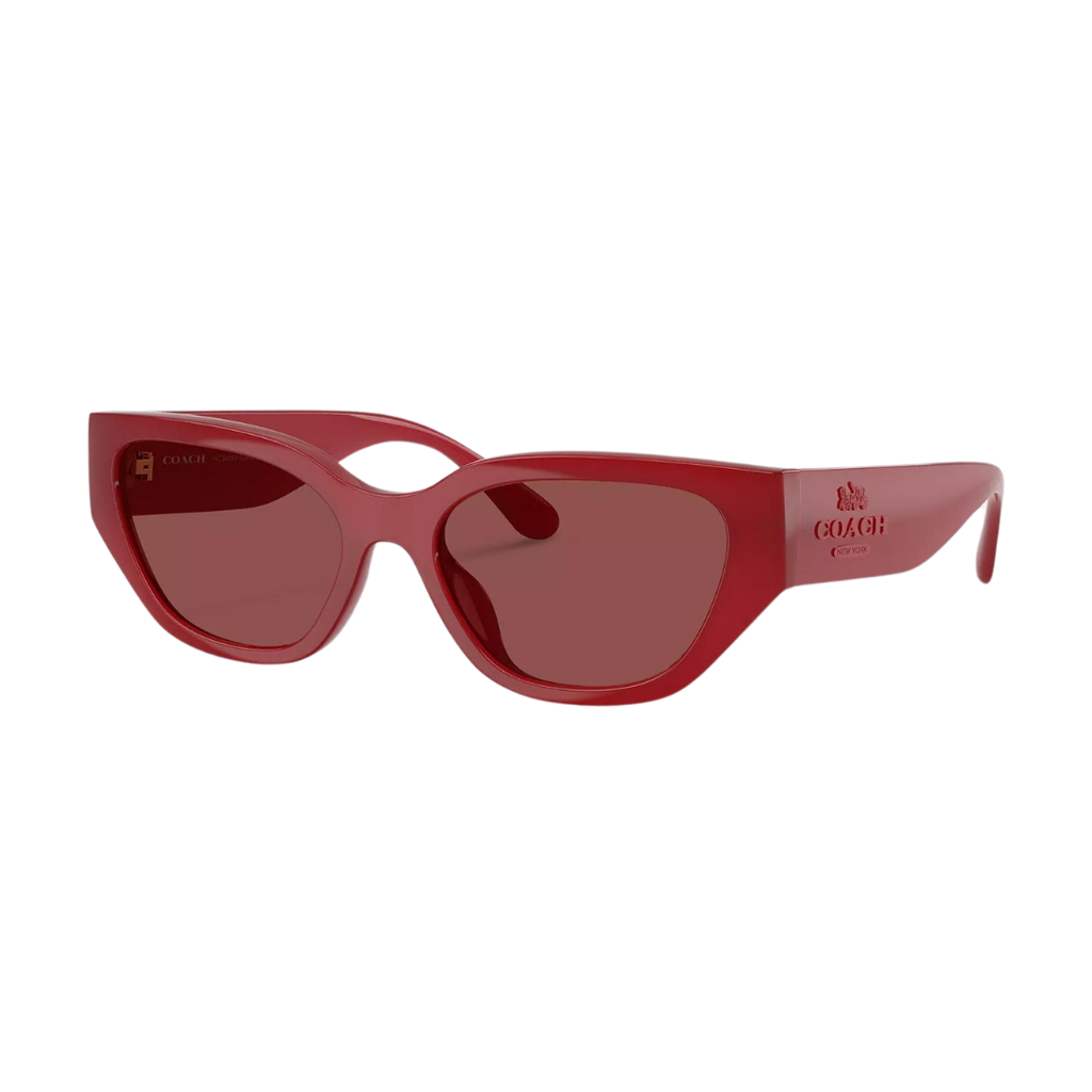 red acrylic cat eye sunglasses