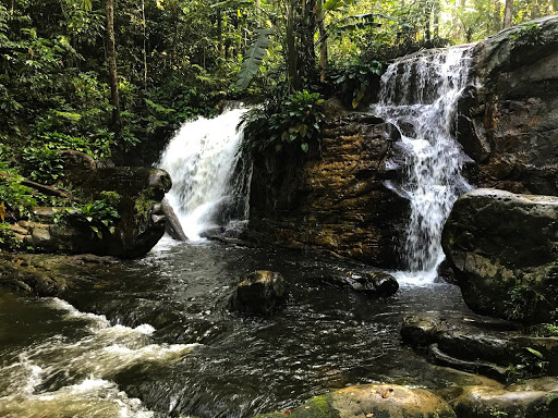 manaus brazil1jpg by Renata Daou