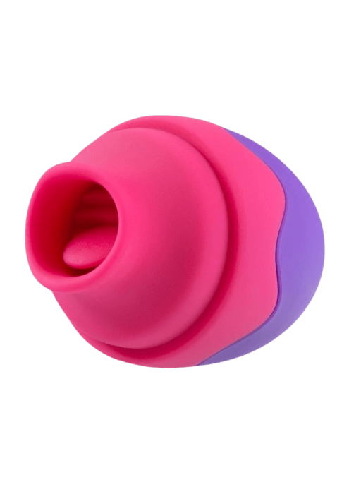 aria?width=500&height=500&fit=cover&auto=webp&dpr=4