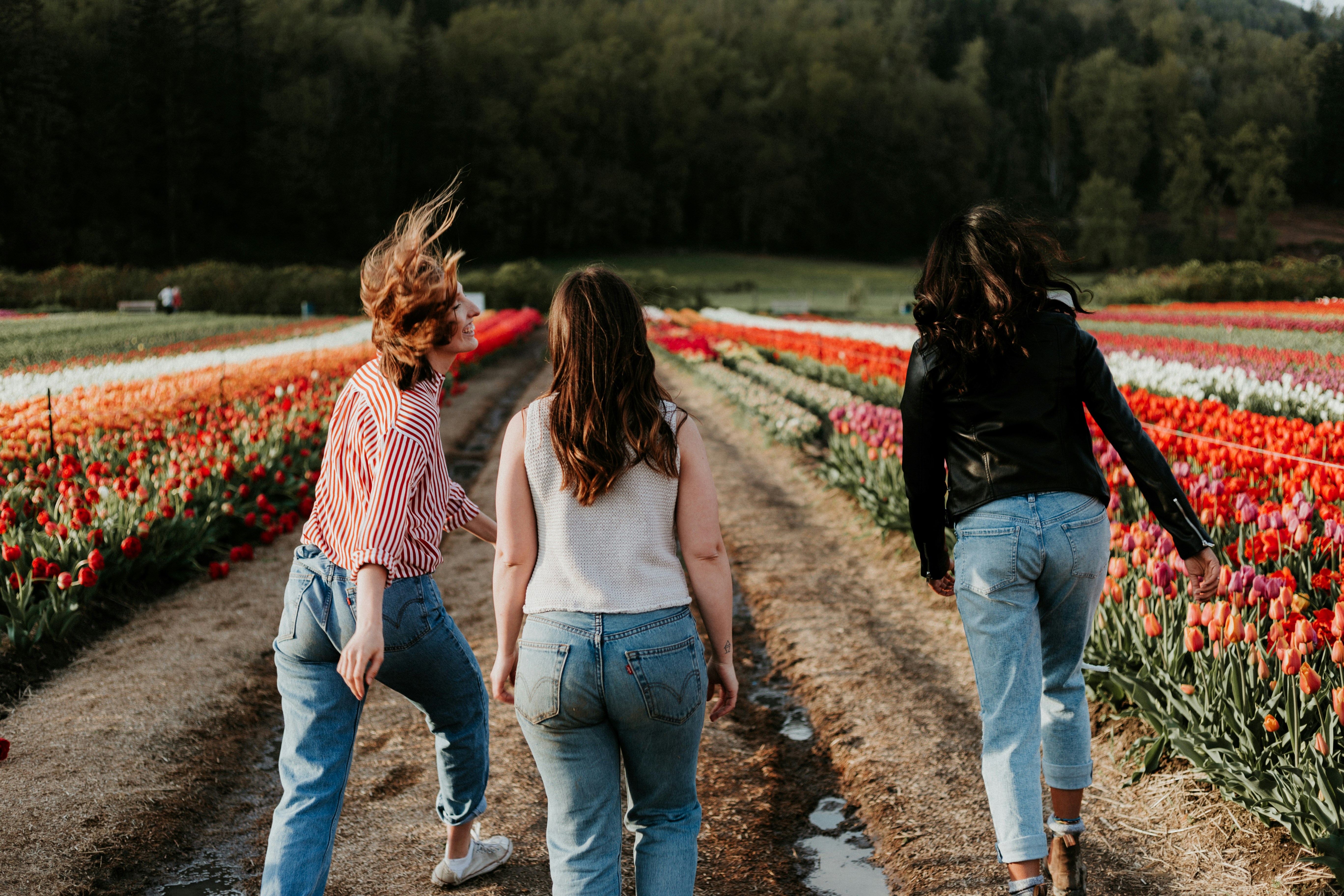 Three women walking between tulips.