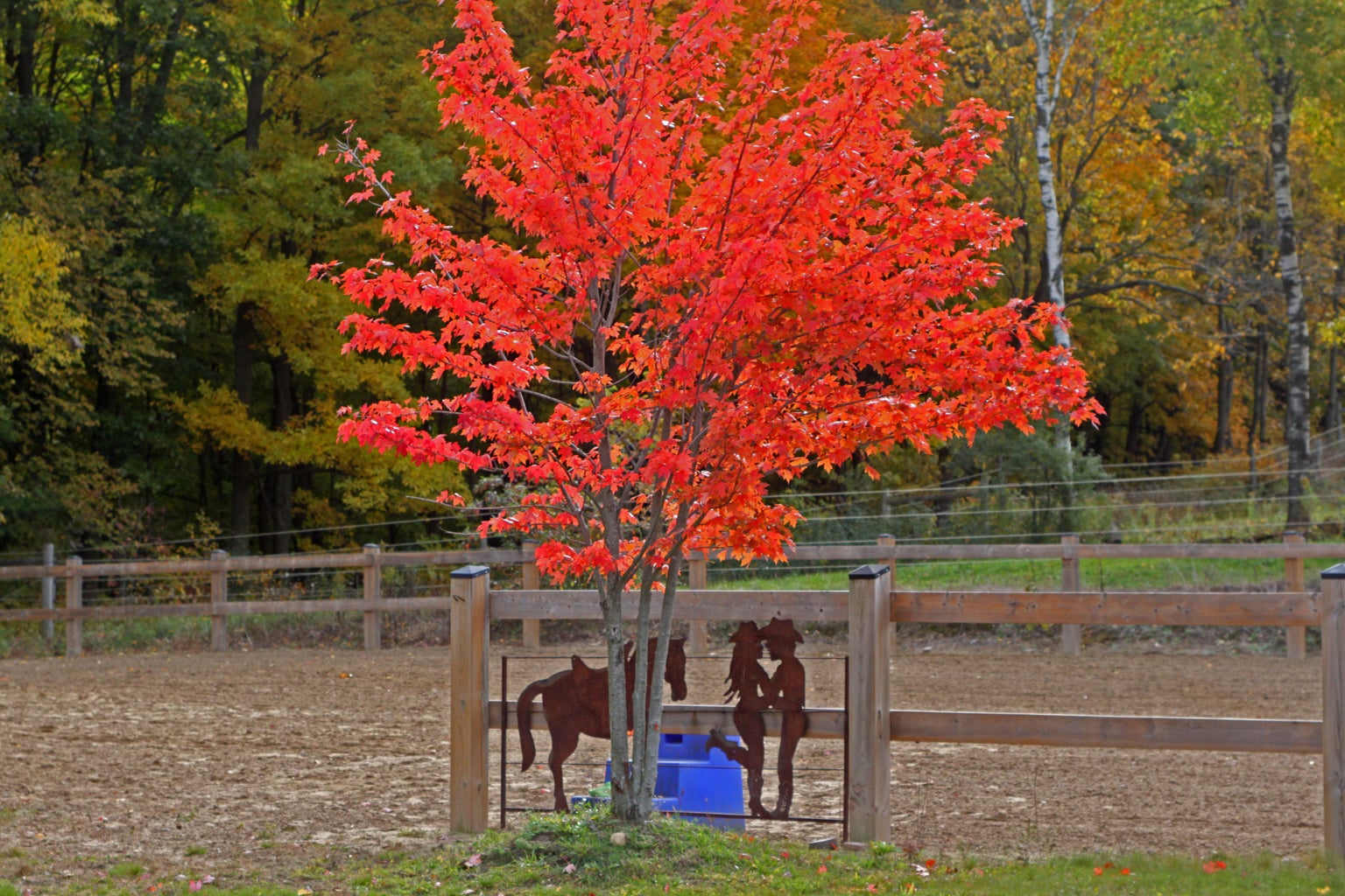Red tree with outdoor ring and metal silhouette in the background