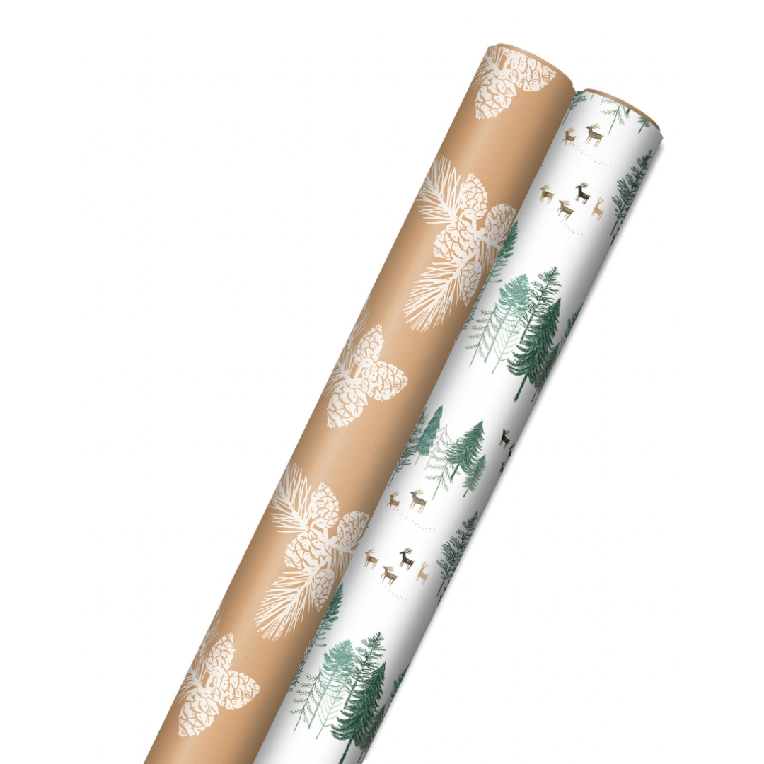 10?width=1024&height=1024&fit=cover&auto=webp&dpr=4