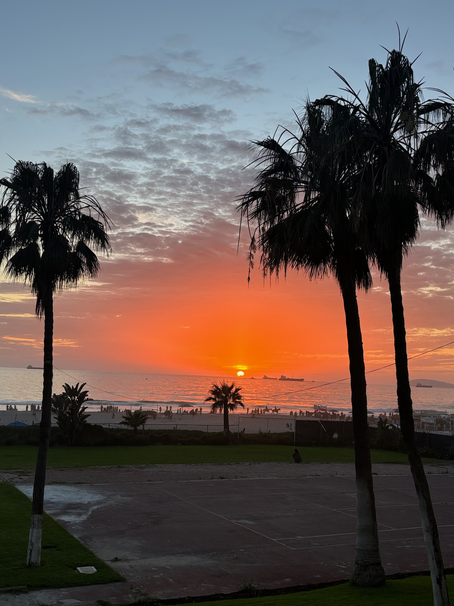 Sunset at the beach with palm trees