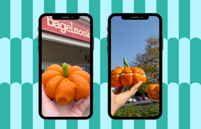 pumpkin bagels