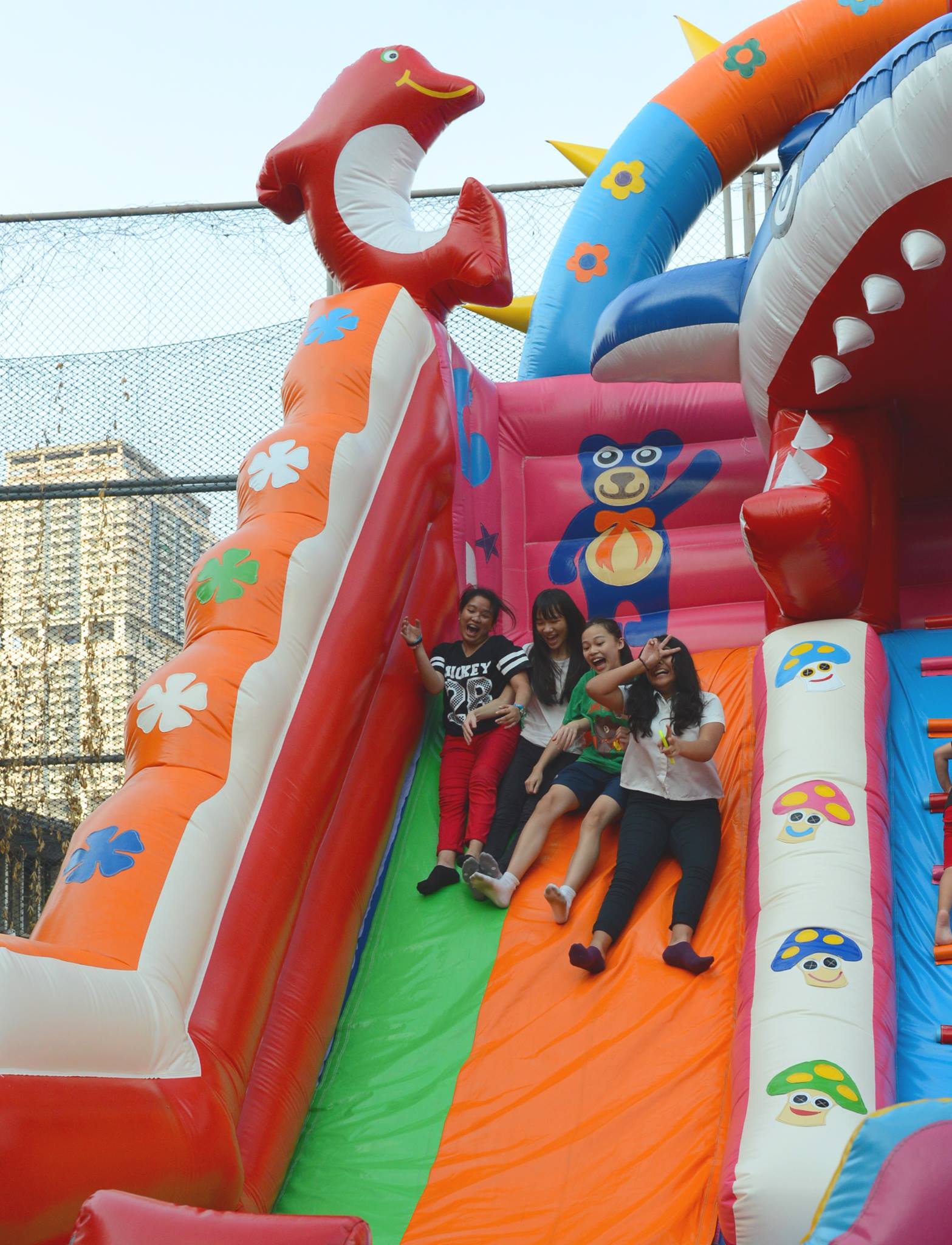 krissie cruz personal essay?width=500&height=500&fit=cover&auto=webp&dpr=4