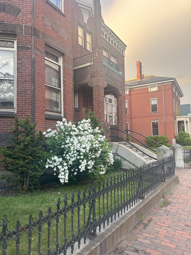 5fdf268cf6be405b893a14ff923e0799 1 105 cjpegjpg by Shelagh Laverty?width=698&height=466&fit=crop&auto=webp&dpr=4