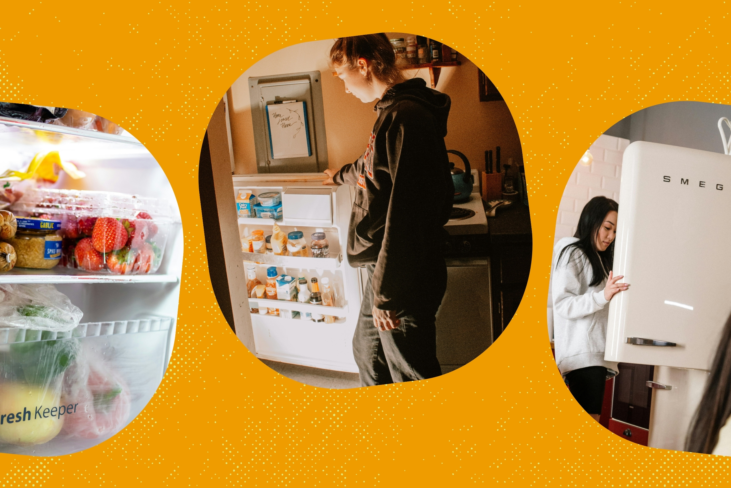 fridge?width=698&height=466&fit=crop&auto=webp&dpr=4