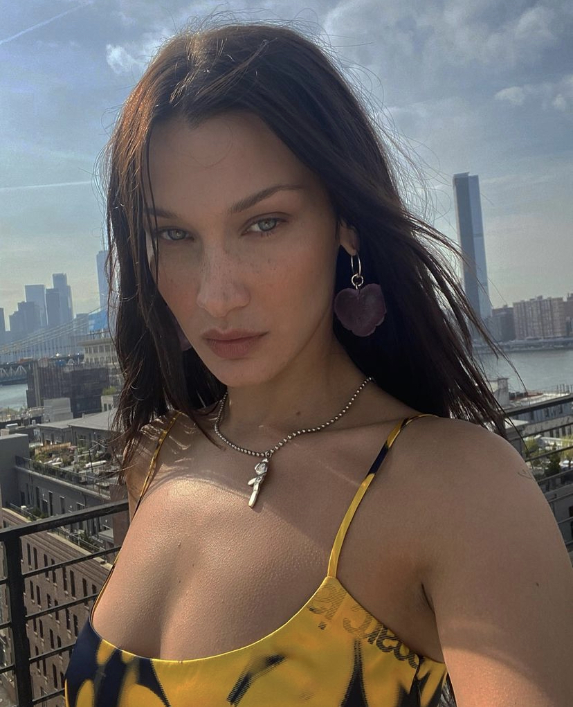 Bella Hadid Hero Image