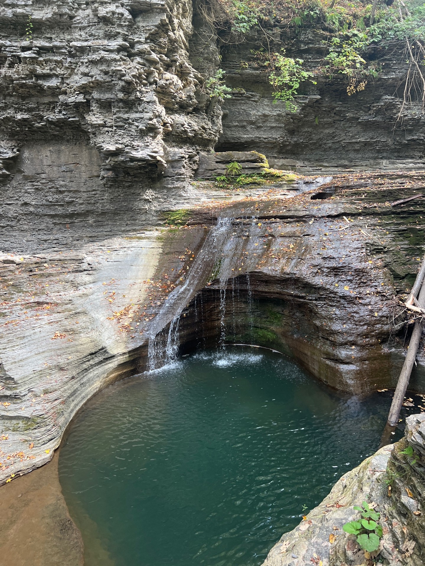 One of the smaller waterfall pools found along the trail