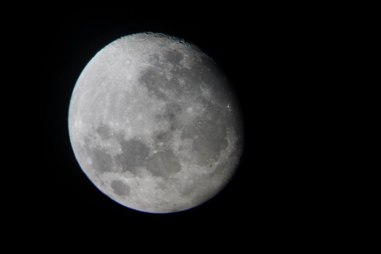 image 1 night owljpegjpg by Shin Roran