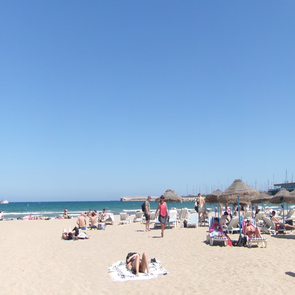 umbrellas and people at the beach