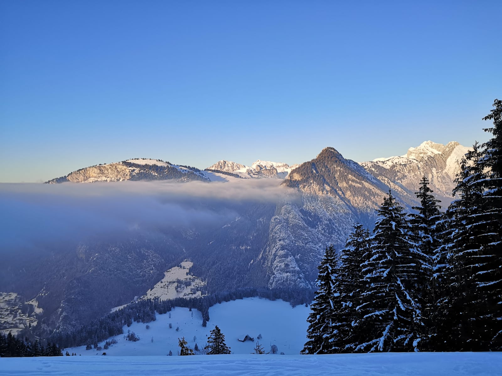 img20210110wa0032jpg by Ocane Renoud