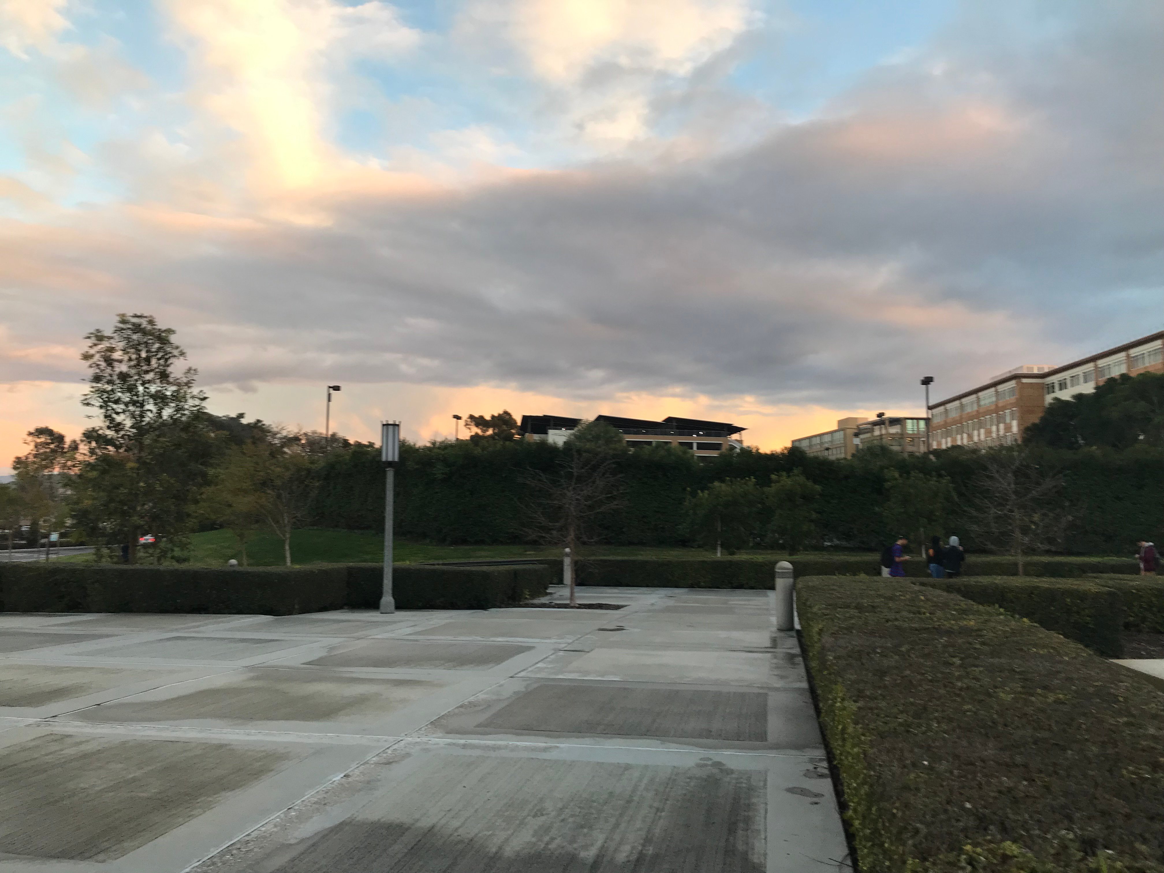 An Evening on Campus