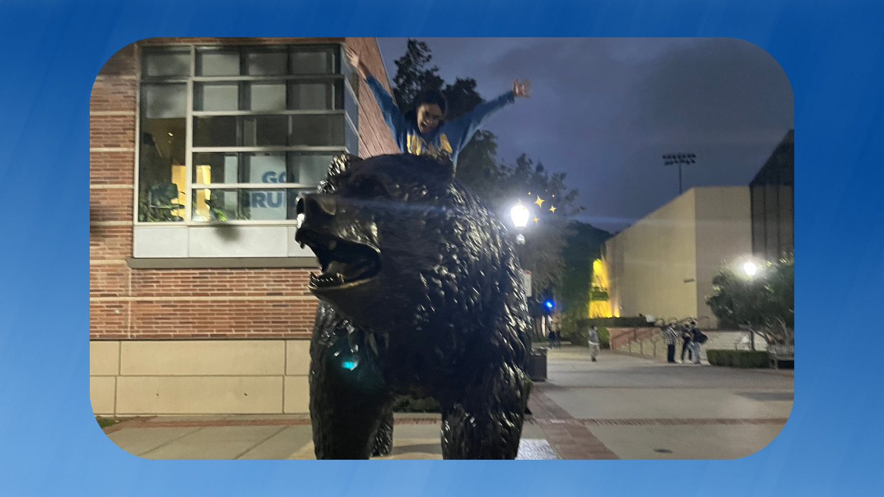 bruinbeardaniellepaisleypng by Danielle Paisley?width=698&height=466&fit=crop&auto=webp&dpr=4