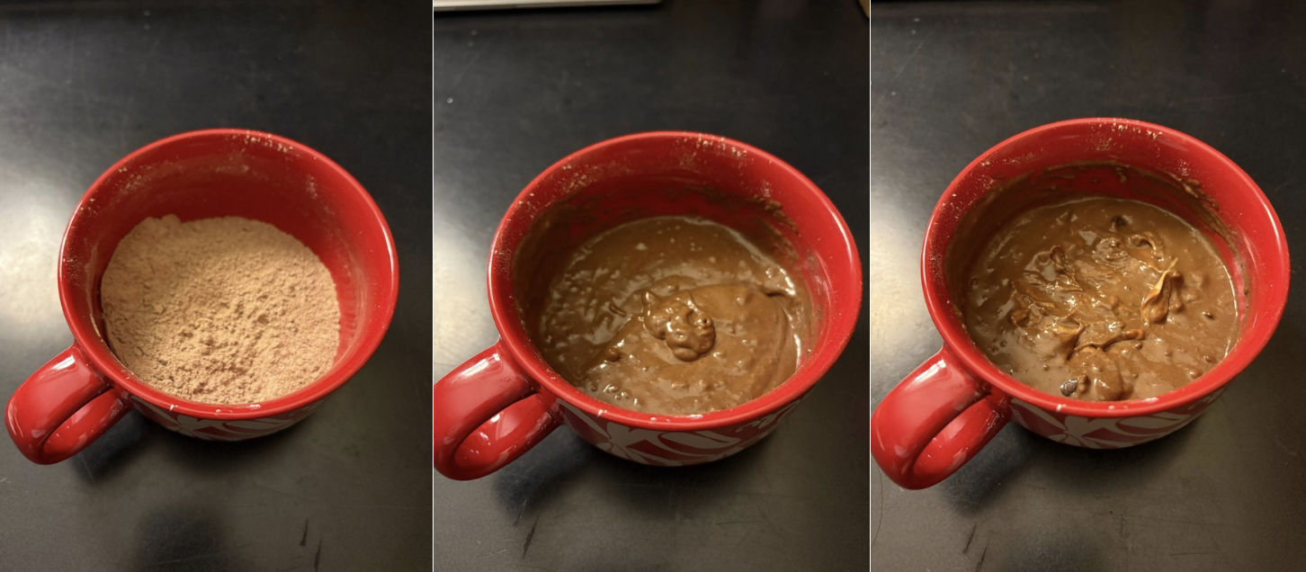 Mug Cakes 3