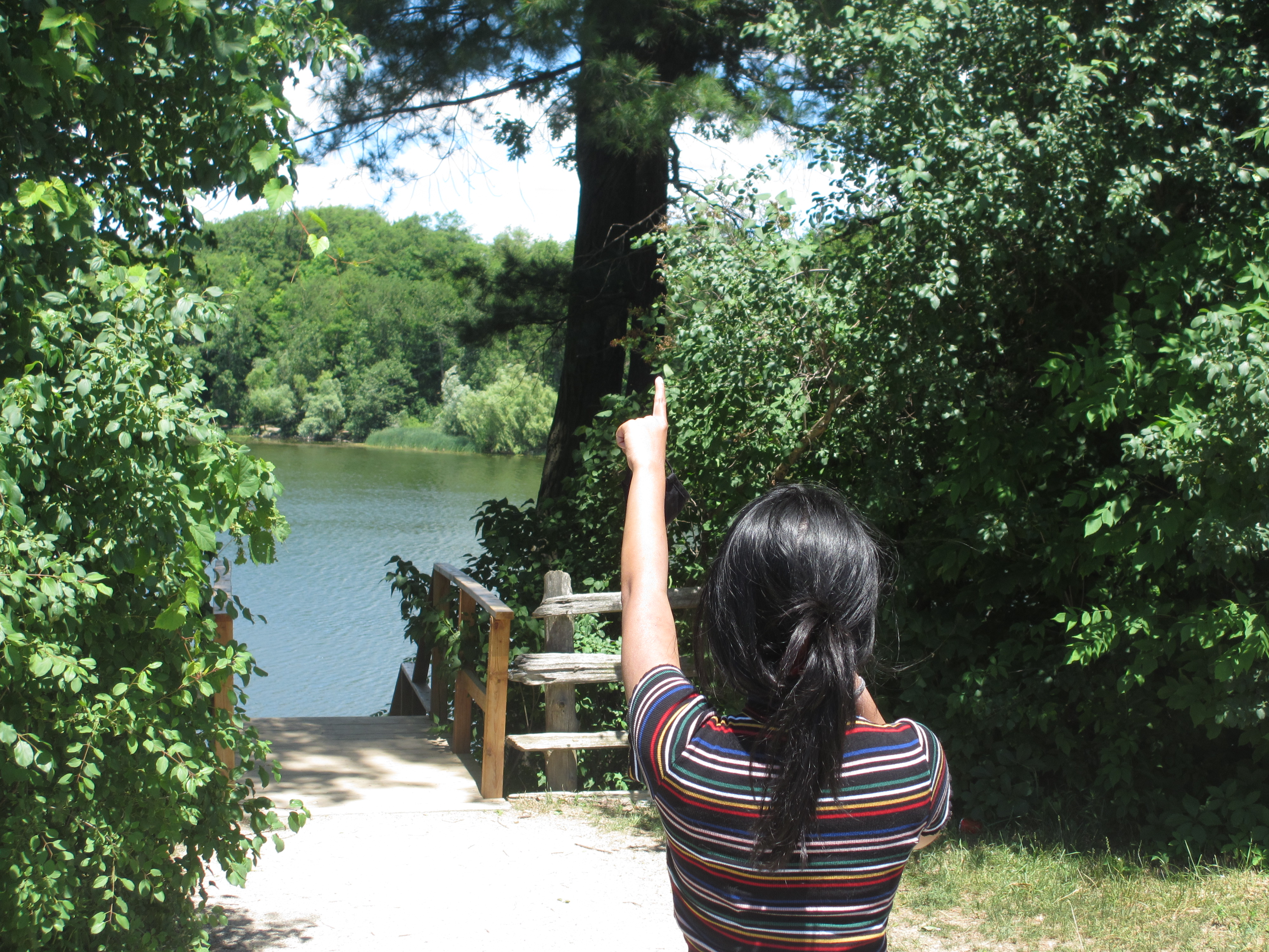 A photo taken behind a girl who is pointing at a body of water beyond trees and a wooden staircase.