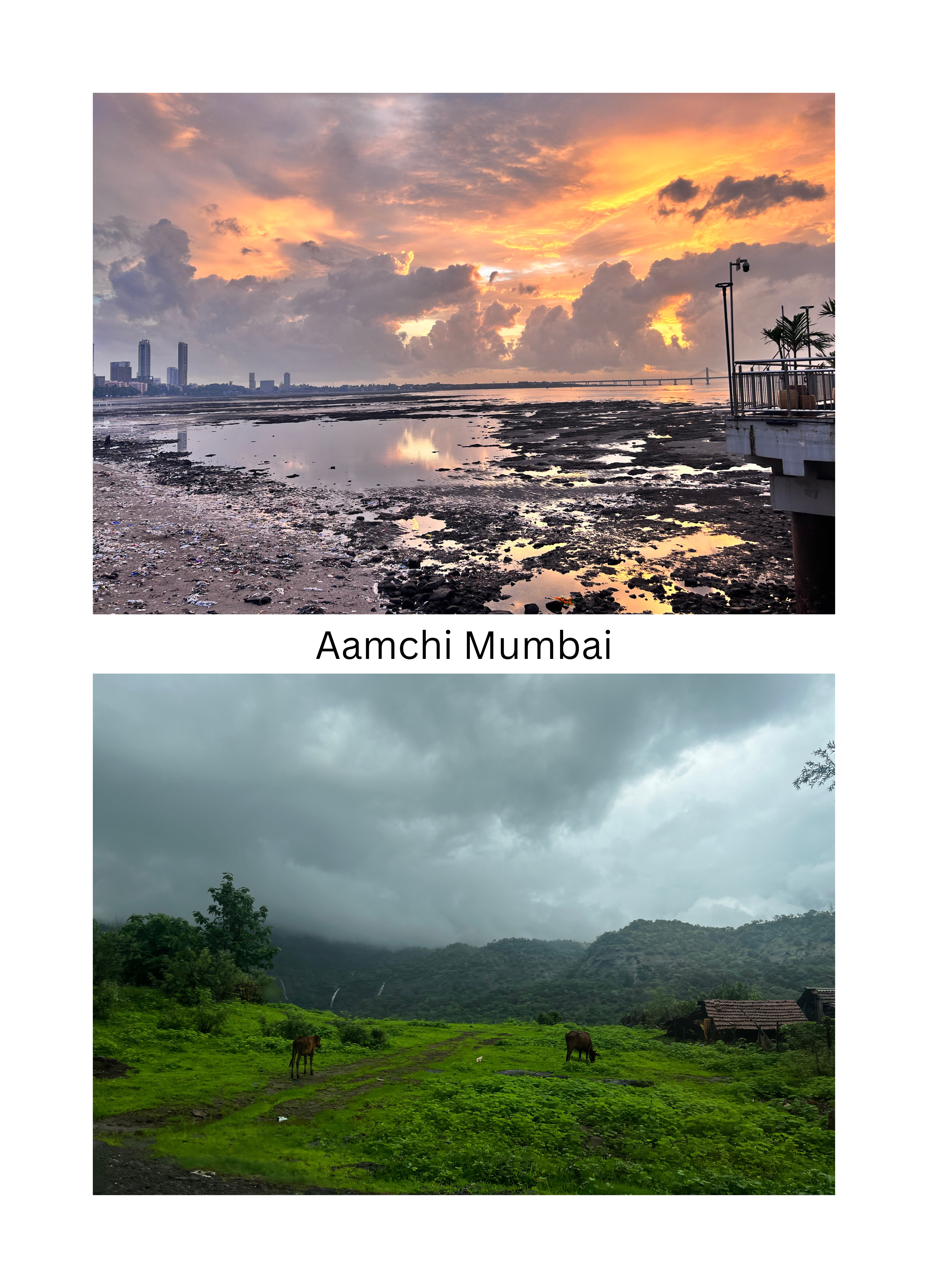 Mumbai in the rains