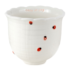 white ceramic planter with small painted lady bugs