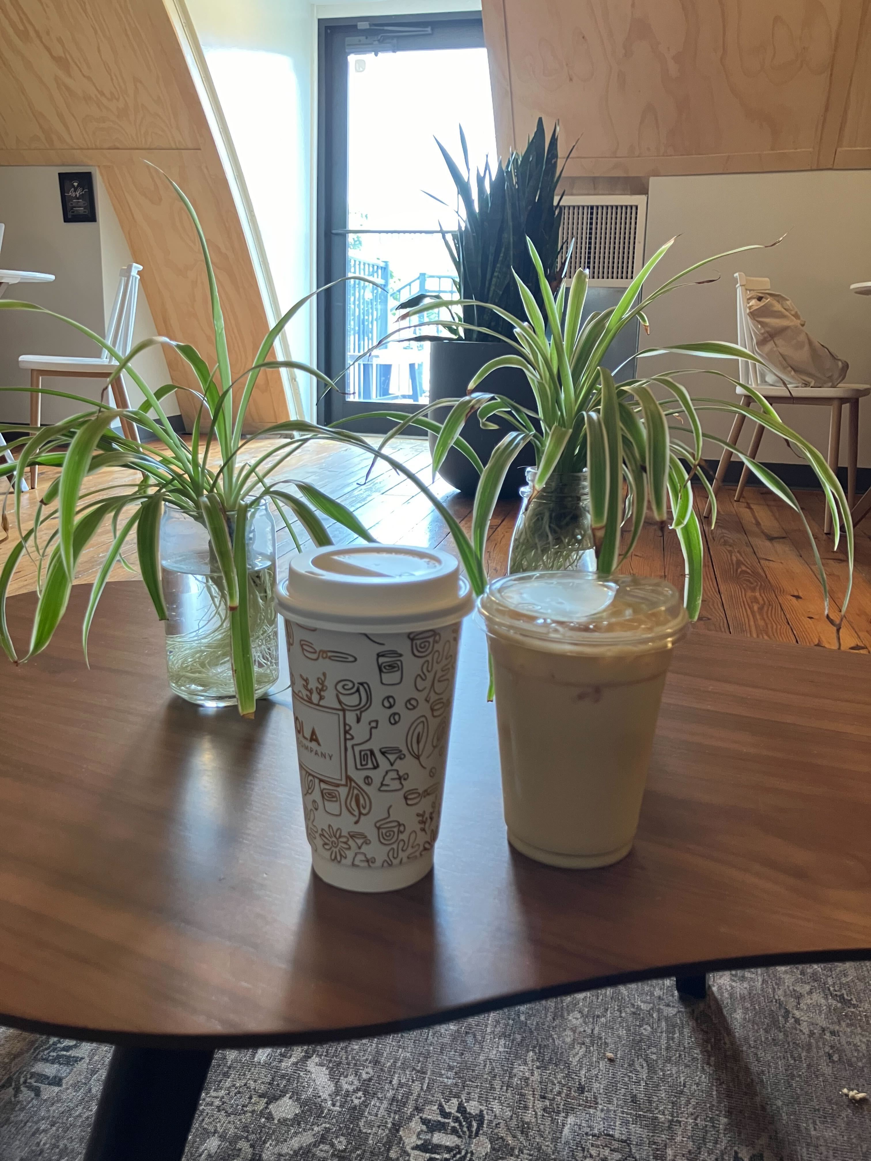 img 0270jpg by EV Beyers?width=698&height=466&fit=crop&auto=webp&dpr=4