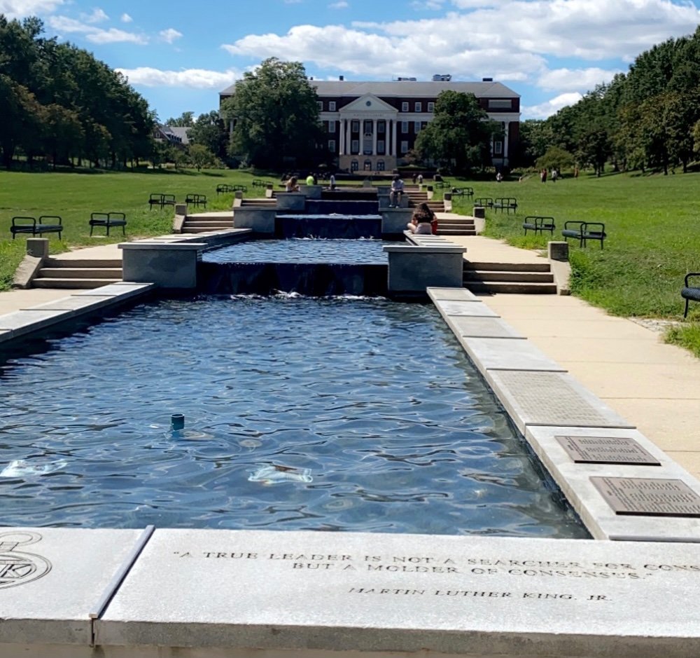 img 0296jpegjpg by Dillon Frank?width=698&height=466&fit=crop&auto=webp&dpr=4