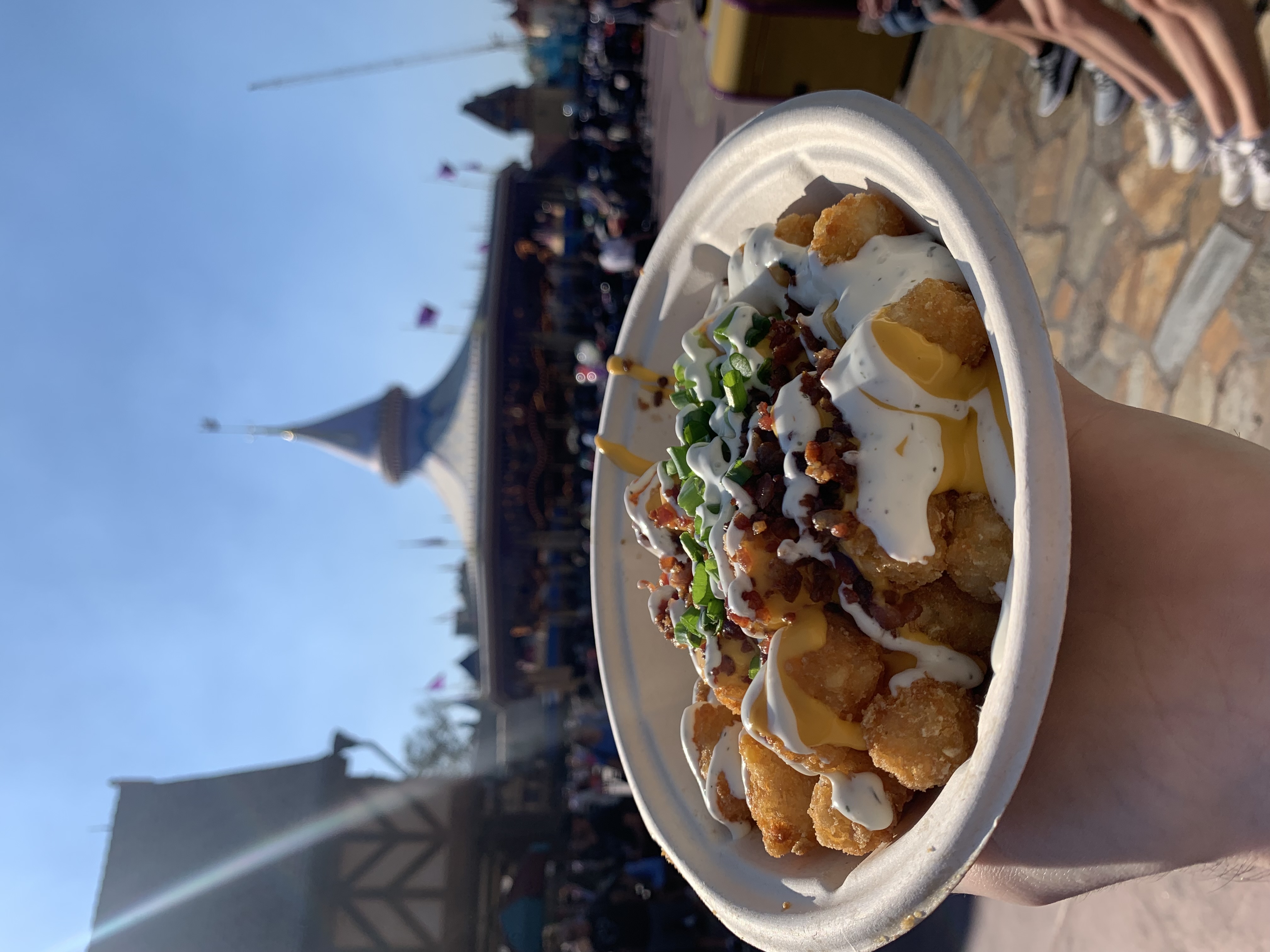 Loaded tater tots in Magic Kingdom