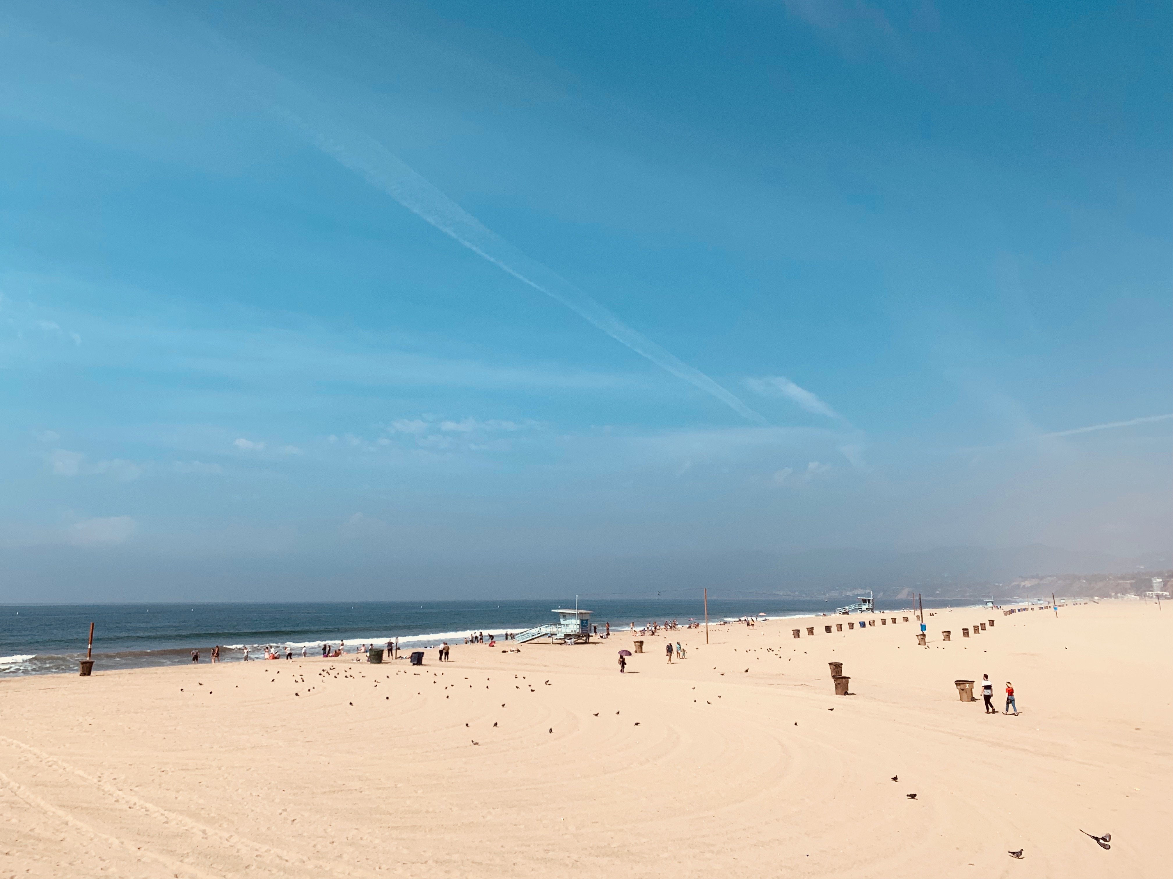 img 2507jpegjpg by Audrey Choong