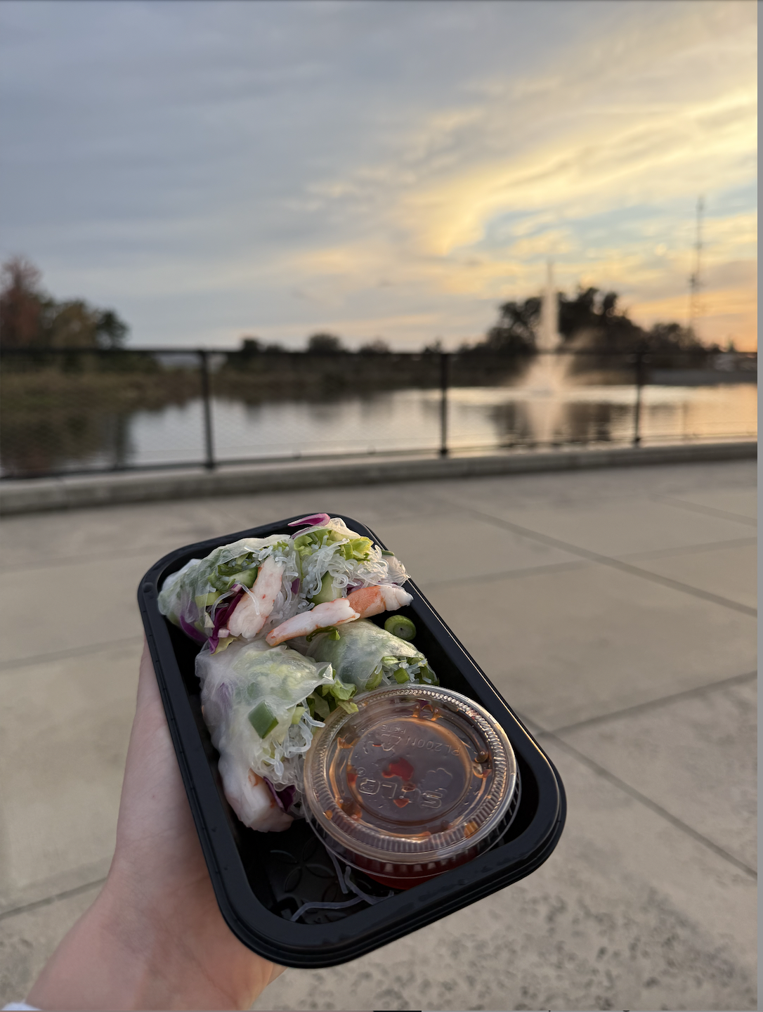 vegetable roll whole foods