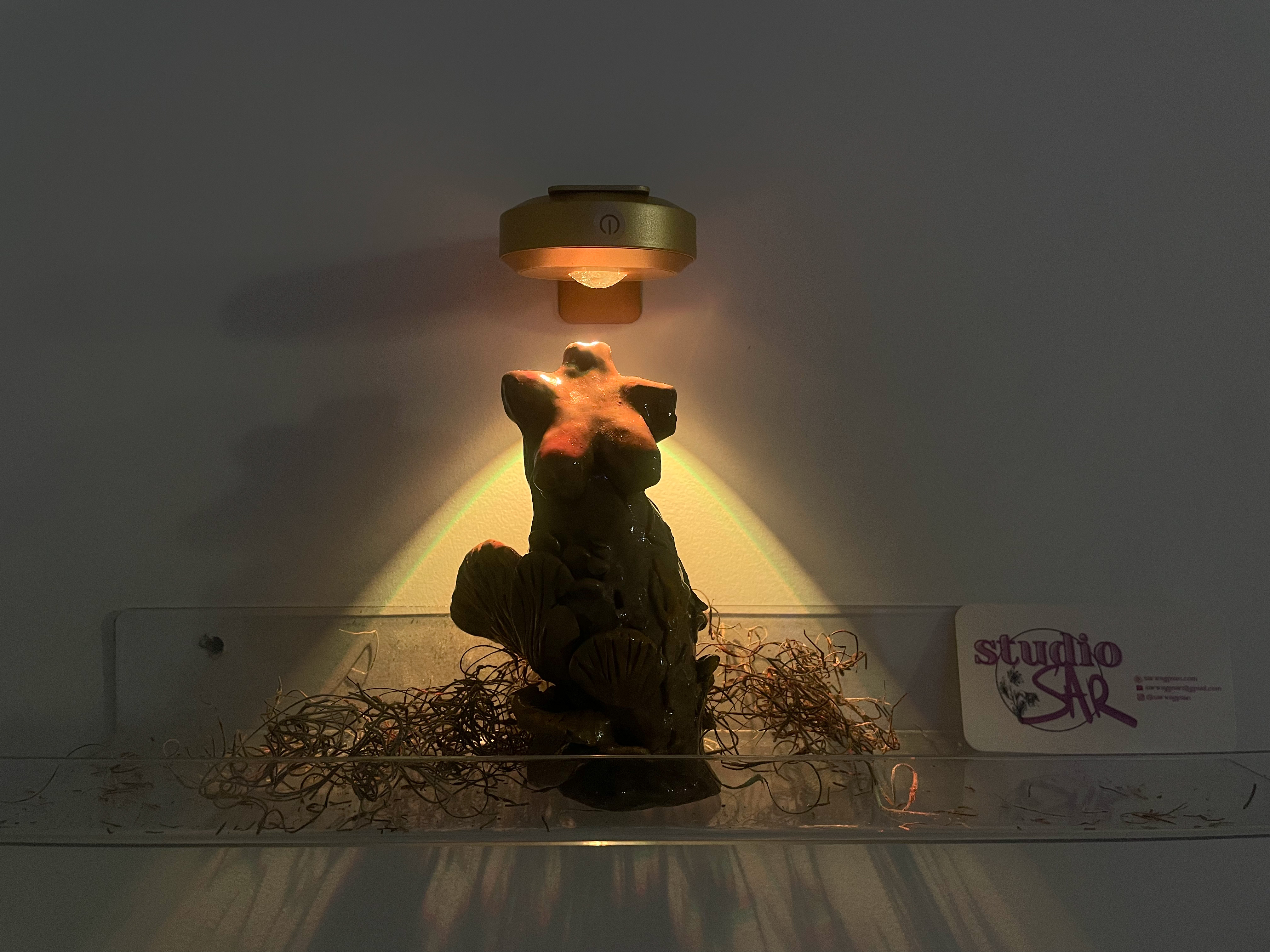 sculpture depicting a naked human torso and mushrooms