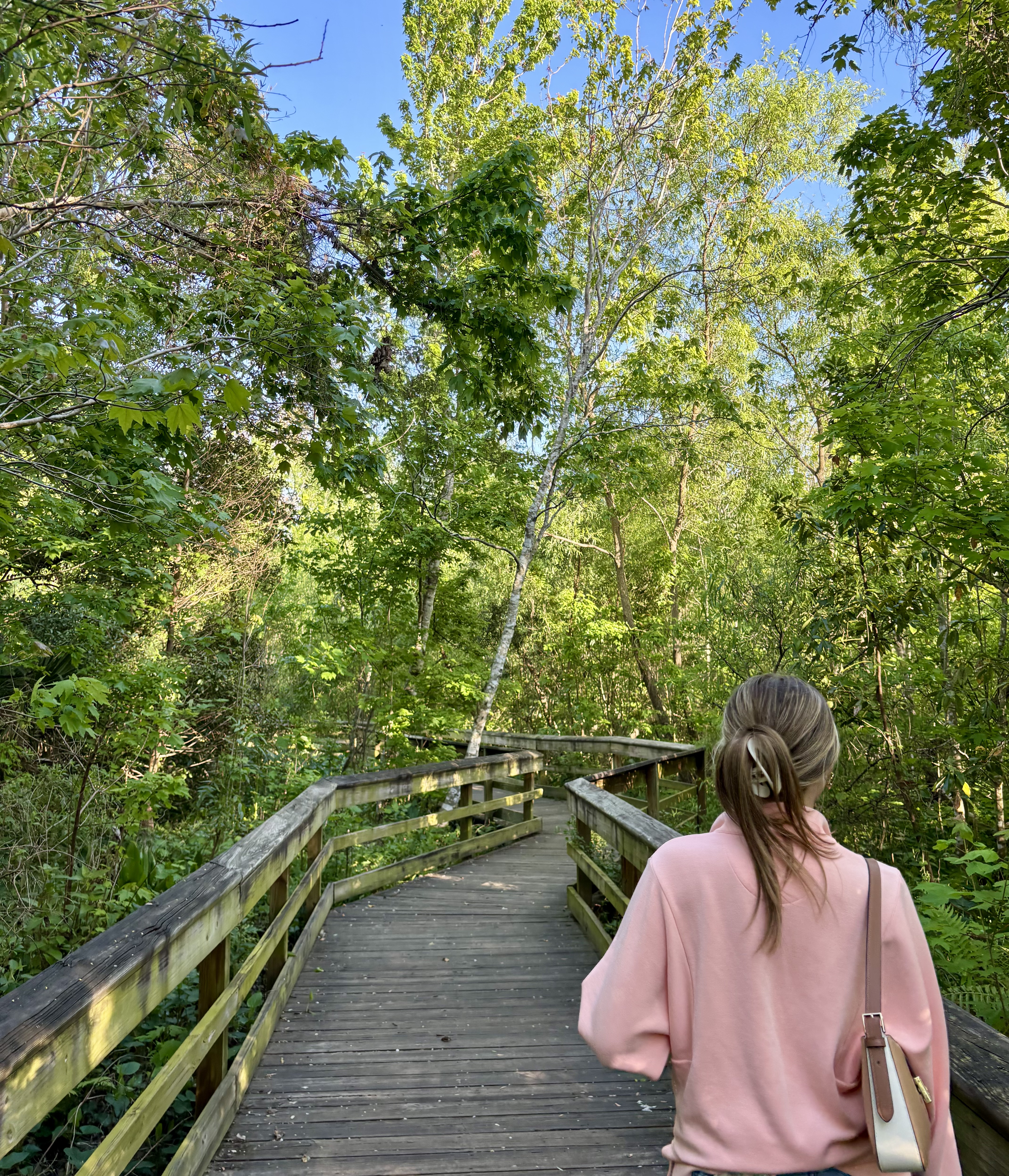 photo of nature with friend walking