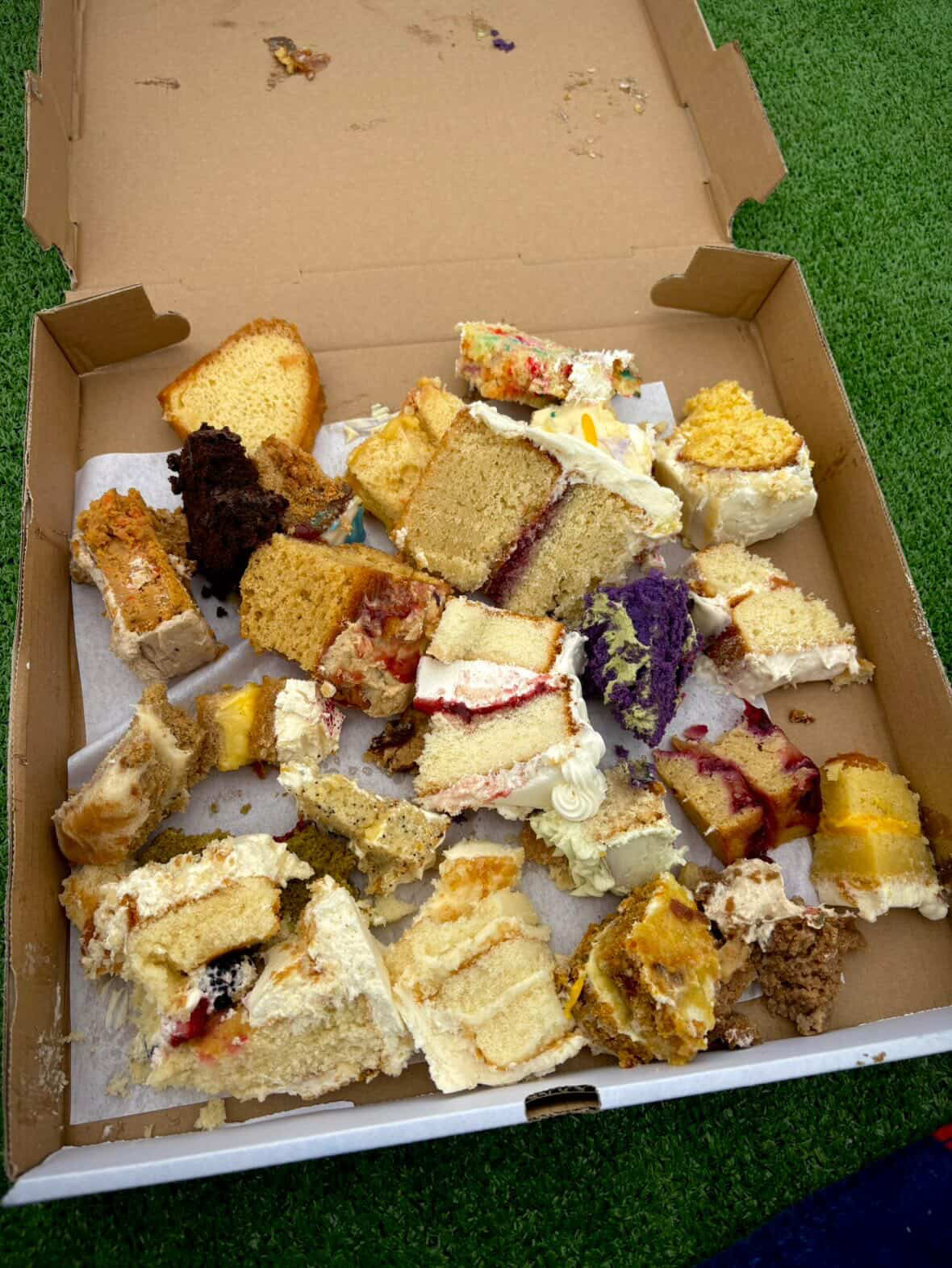 cake picnic