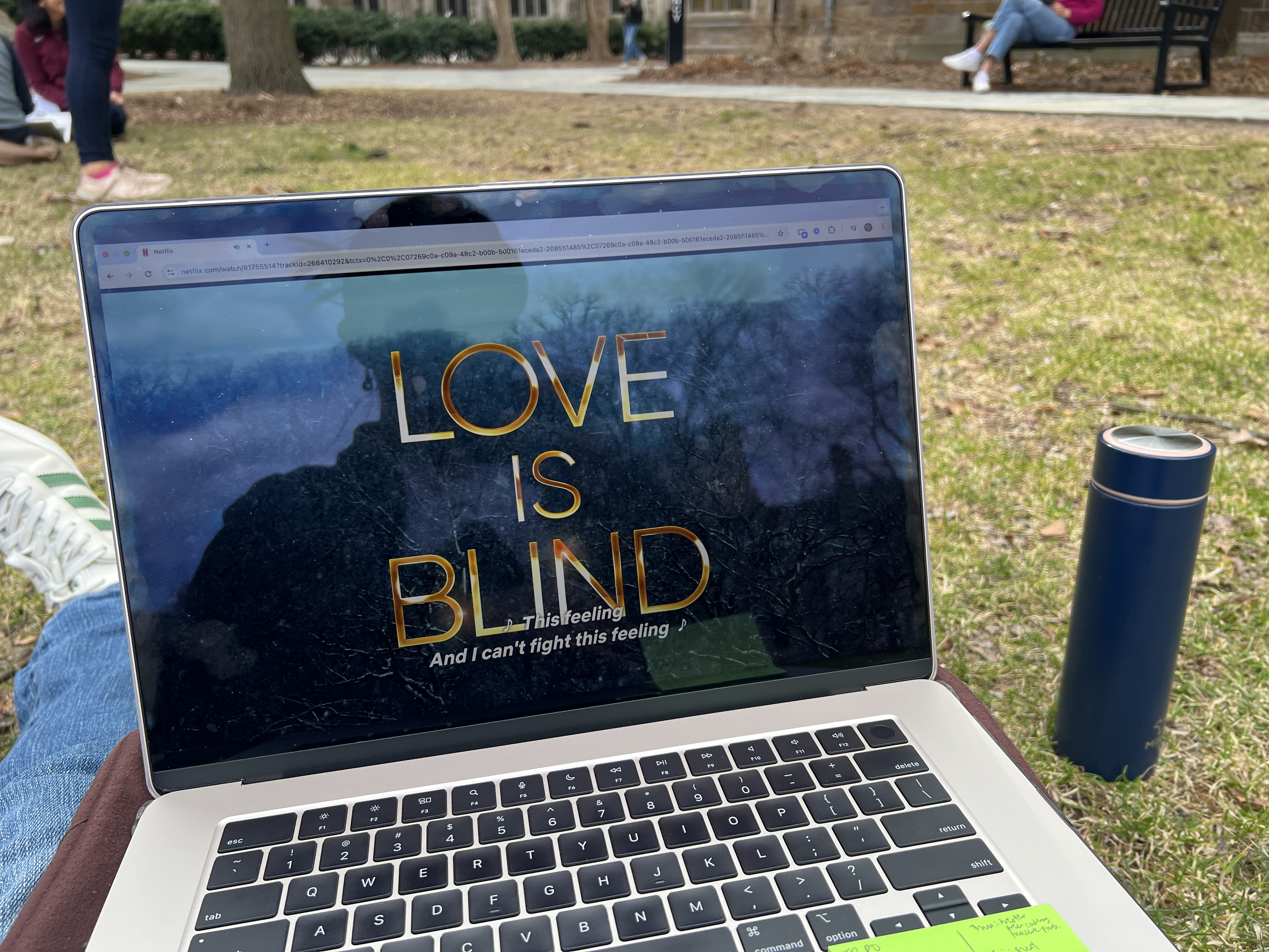 img 6364jpg by Charlotte Lee?width=698&height=466&fit=crop&auto=webp&dpr=4