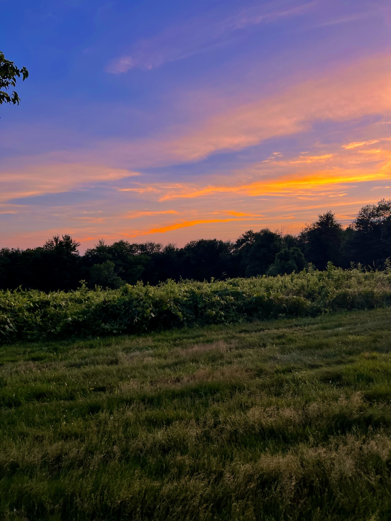 Holcombe Hill sunset