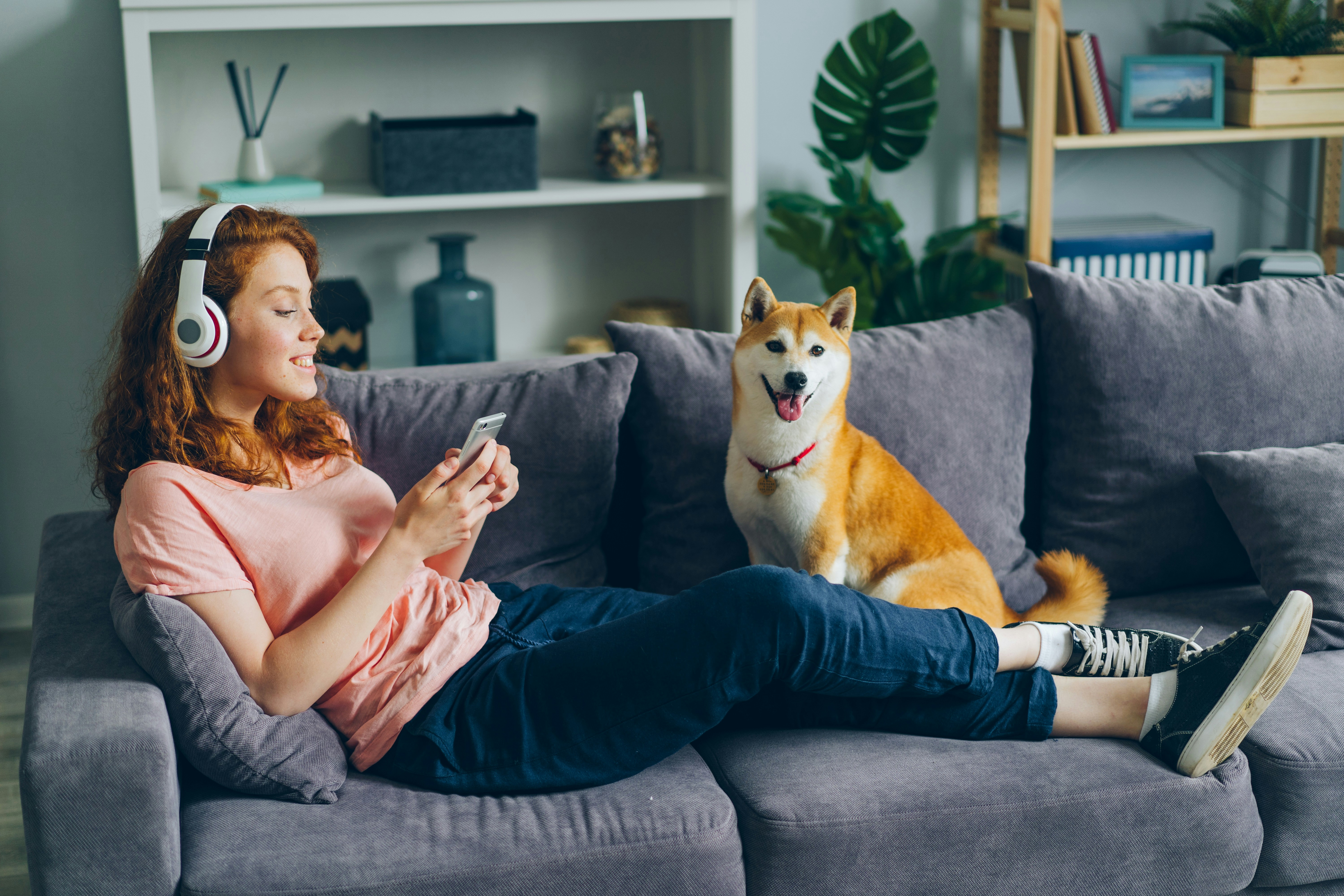 Student in headphones listening to music using smartphone on couch with dog