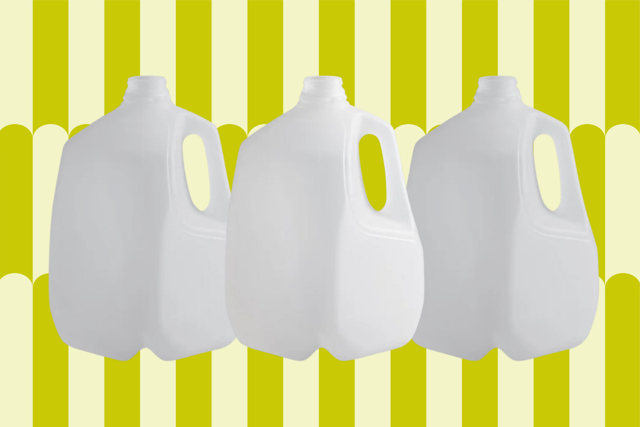 Scallop Standard Hero Template?width=1280&height=854&fit=crop&auto=webp&dpr=4