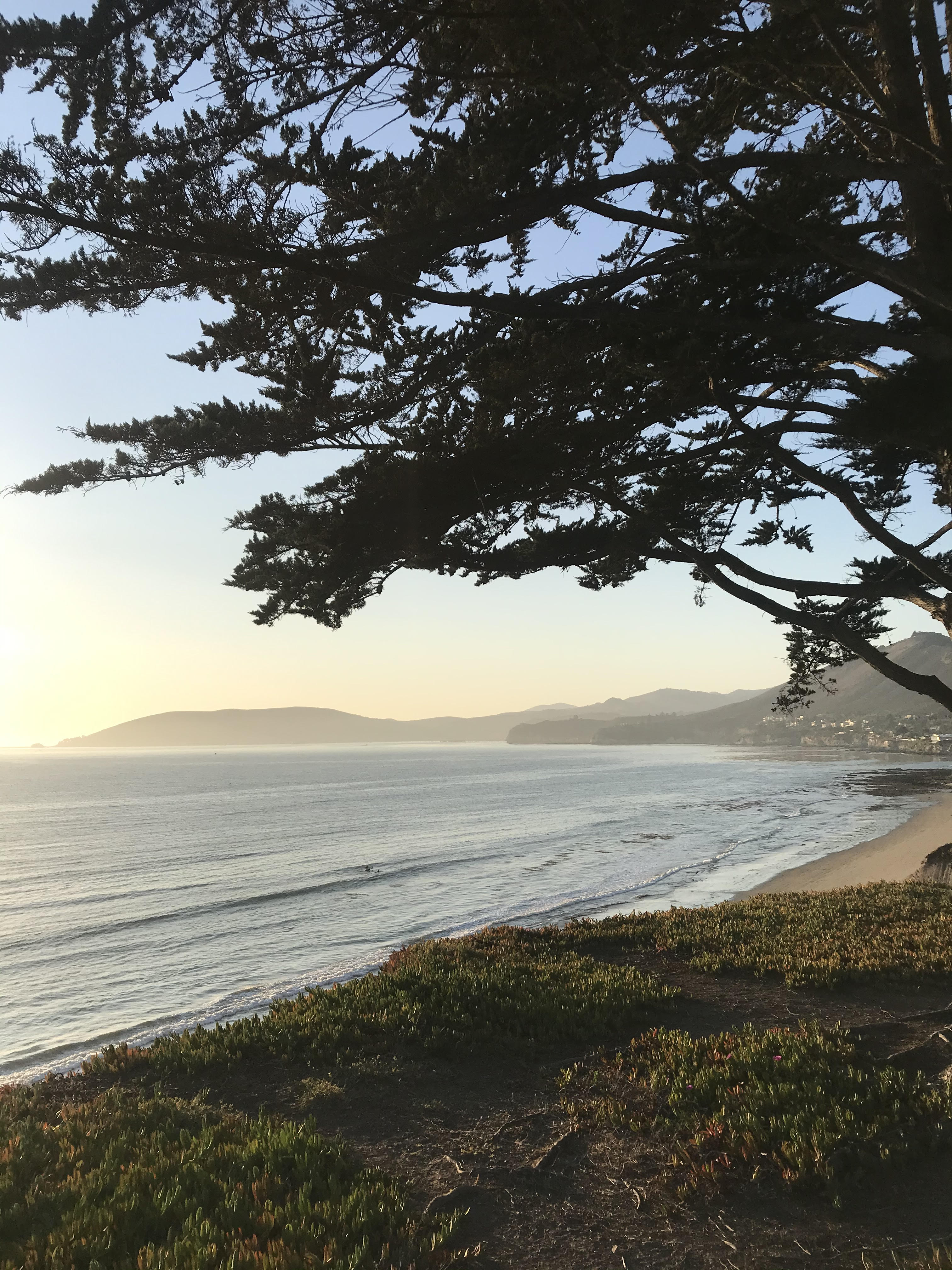 shell beachjpg by Gillian Steffey?width=698&height=466&fit=crop&auto=webp&dpr=4