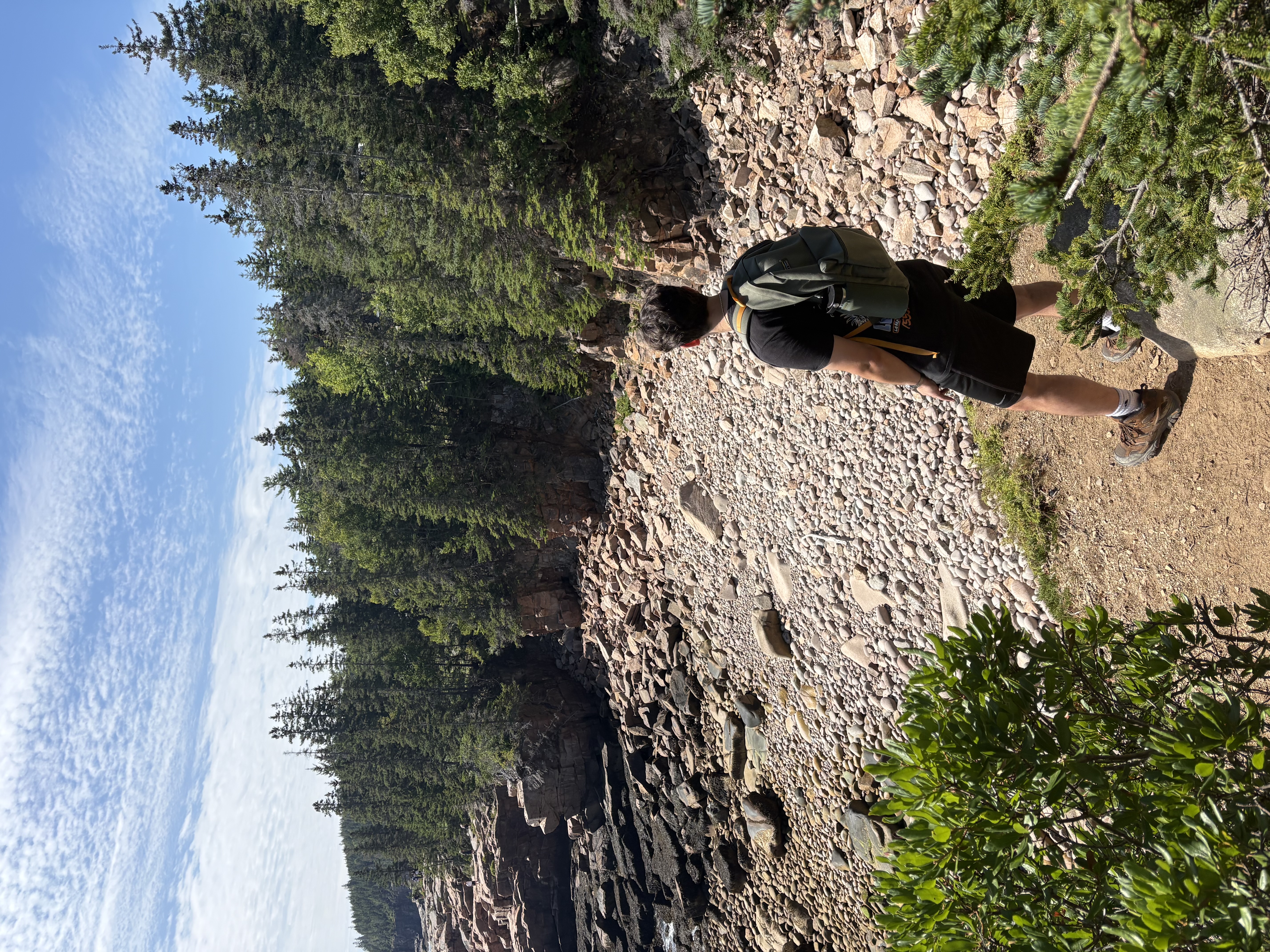 Ocean Path Lookout