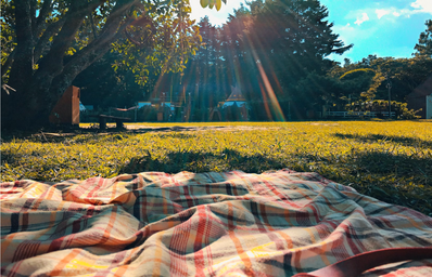 Blanket in the grass at a park