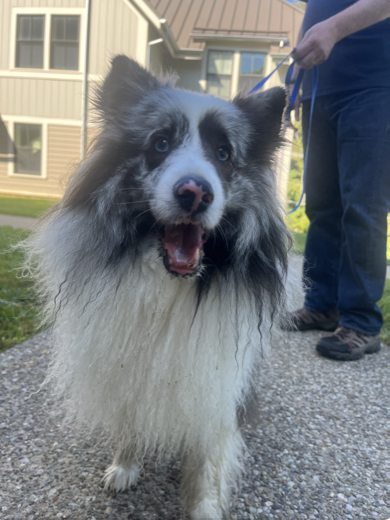 bandit screenshotpng by Jordan Hemmerdinger?width=698&height=466&fit=crop&auto=webp&dpr=4