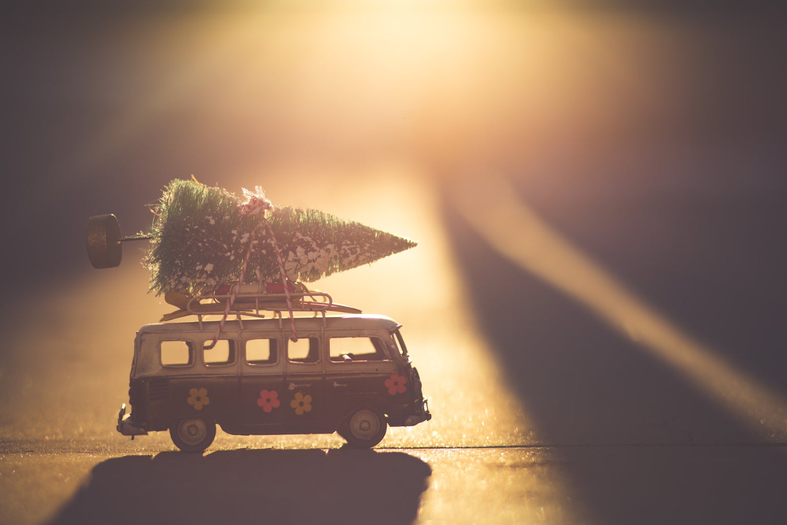Christmas tree on mini bus