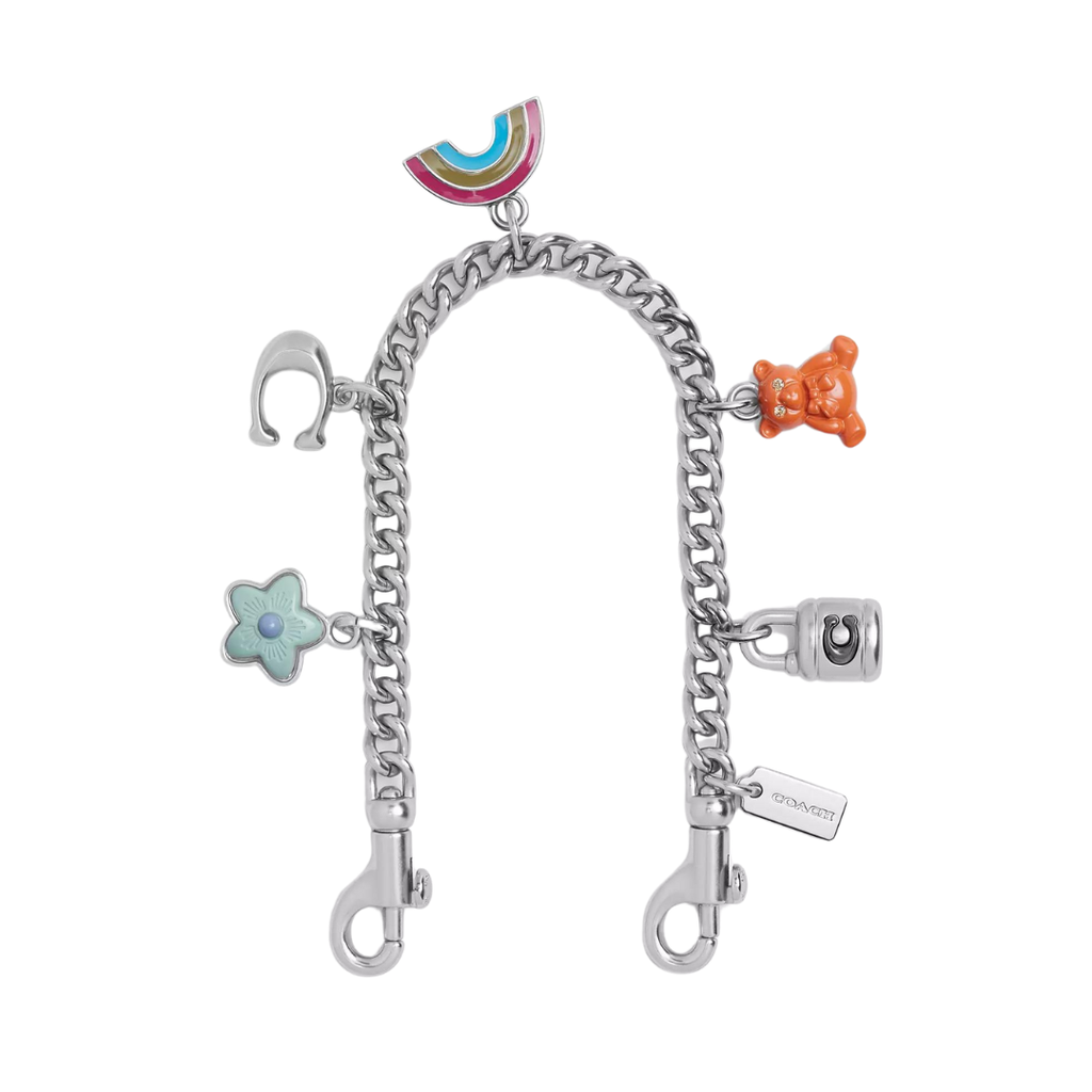 silver chain bag clip with colorful charms