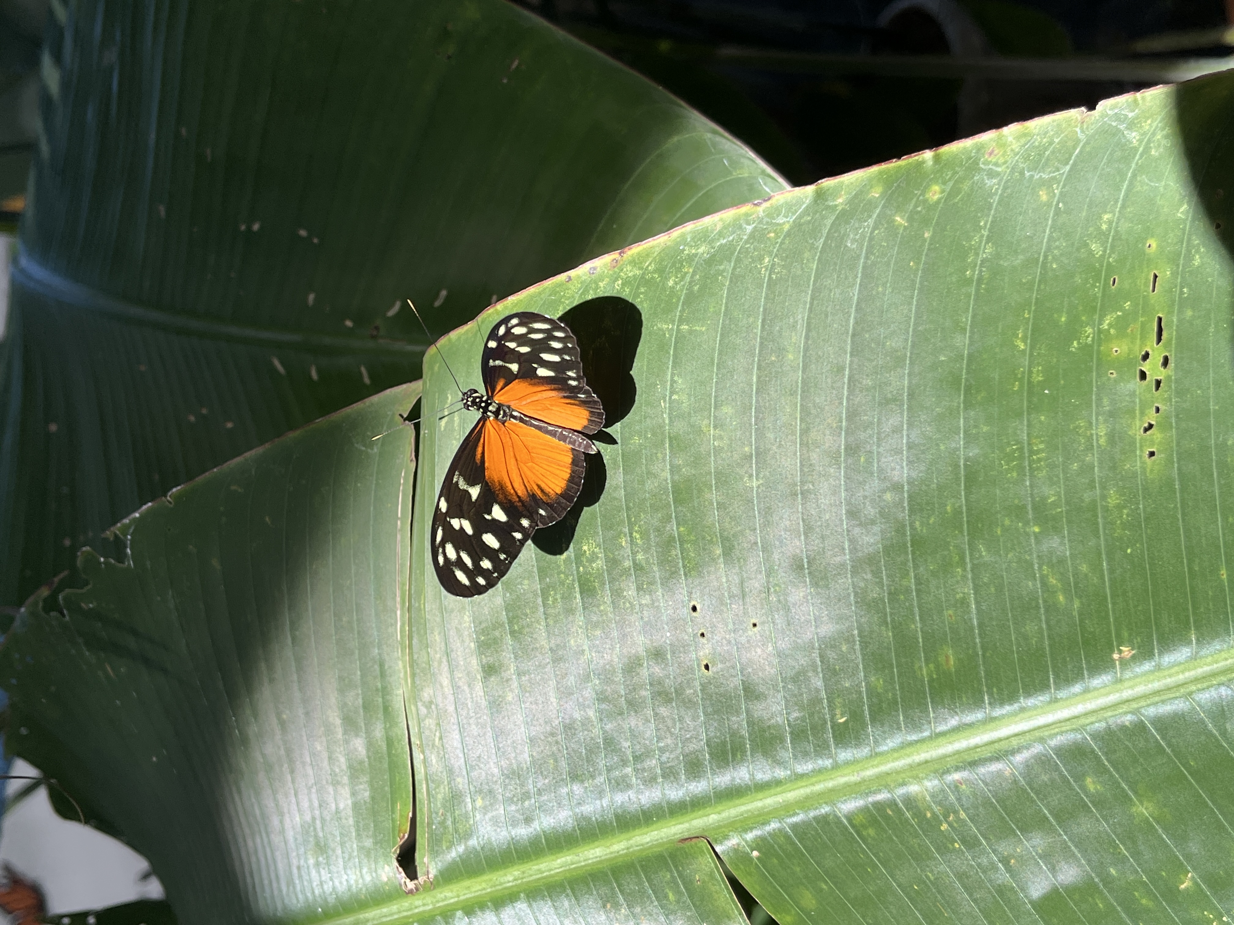 img 5950jpg by Melanie Libby?width=698&height=466&fit=crop&auto=webp&dpr=4