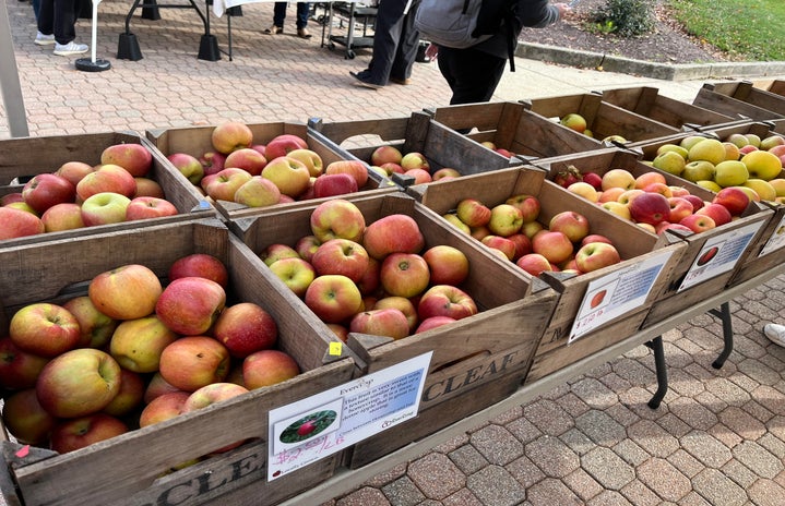 Fresh produce at the University of Maryland Farmers Market.
