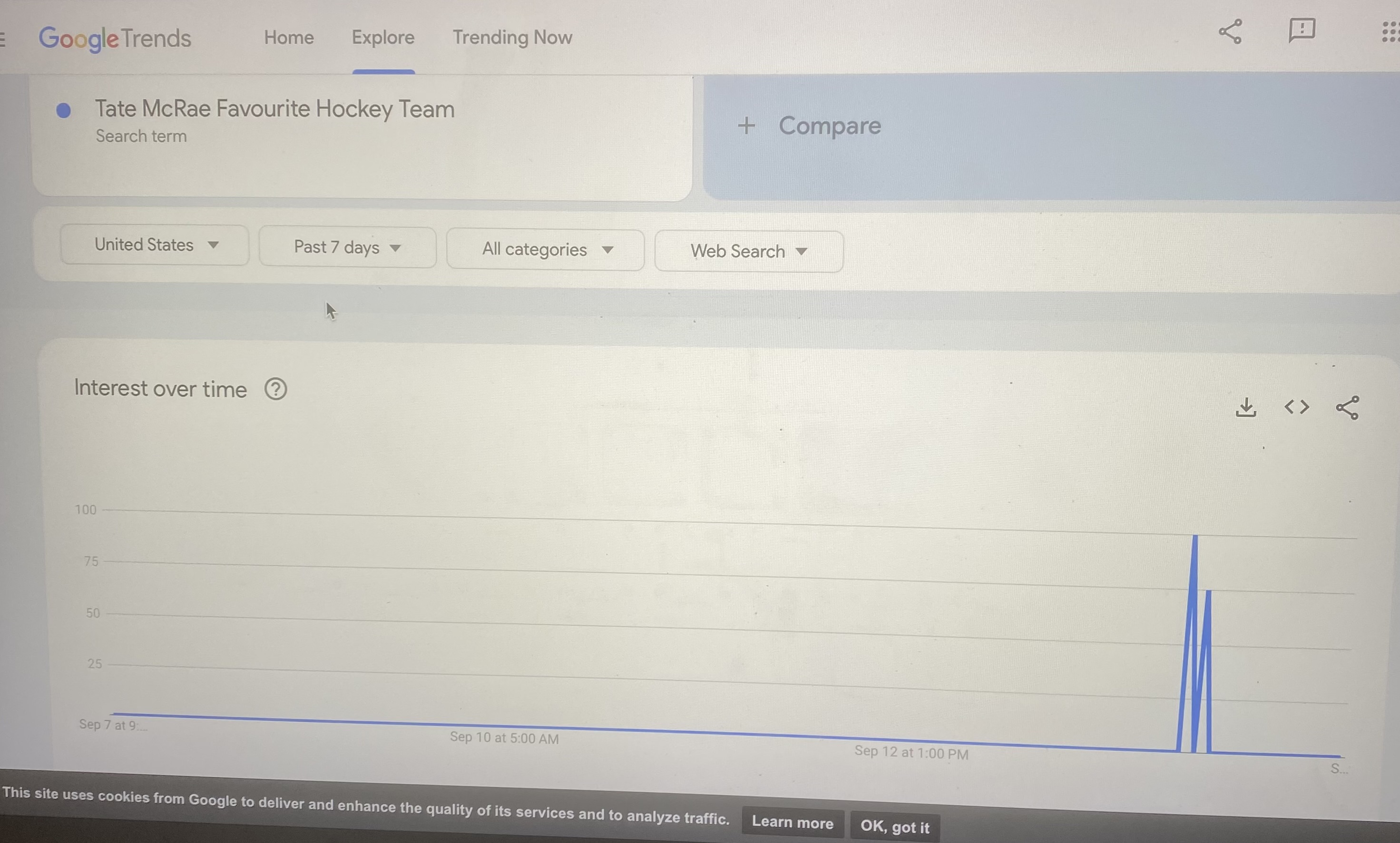 screenshot of google trends